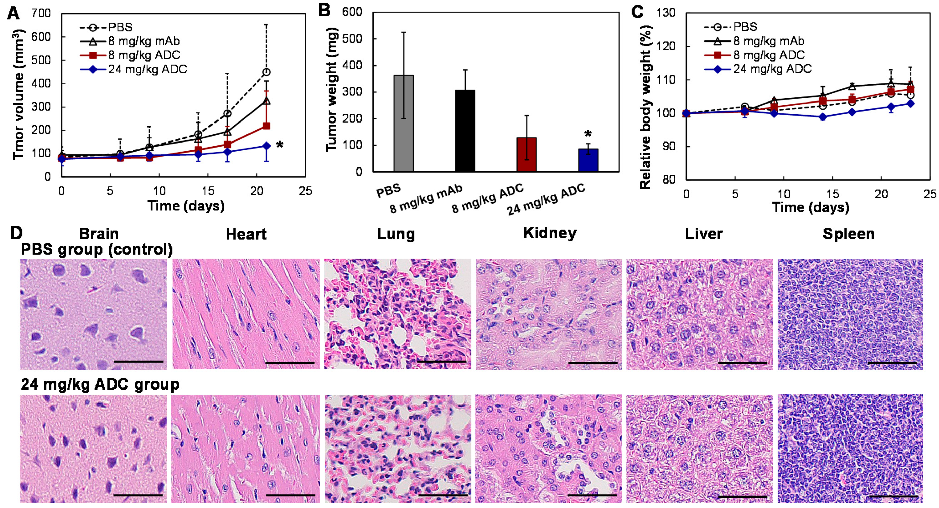 Vaccines 09 00882 g006 550