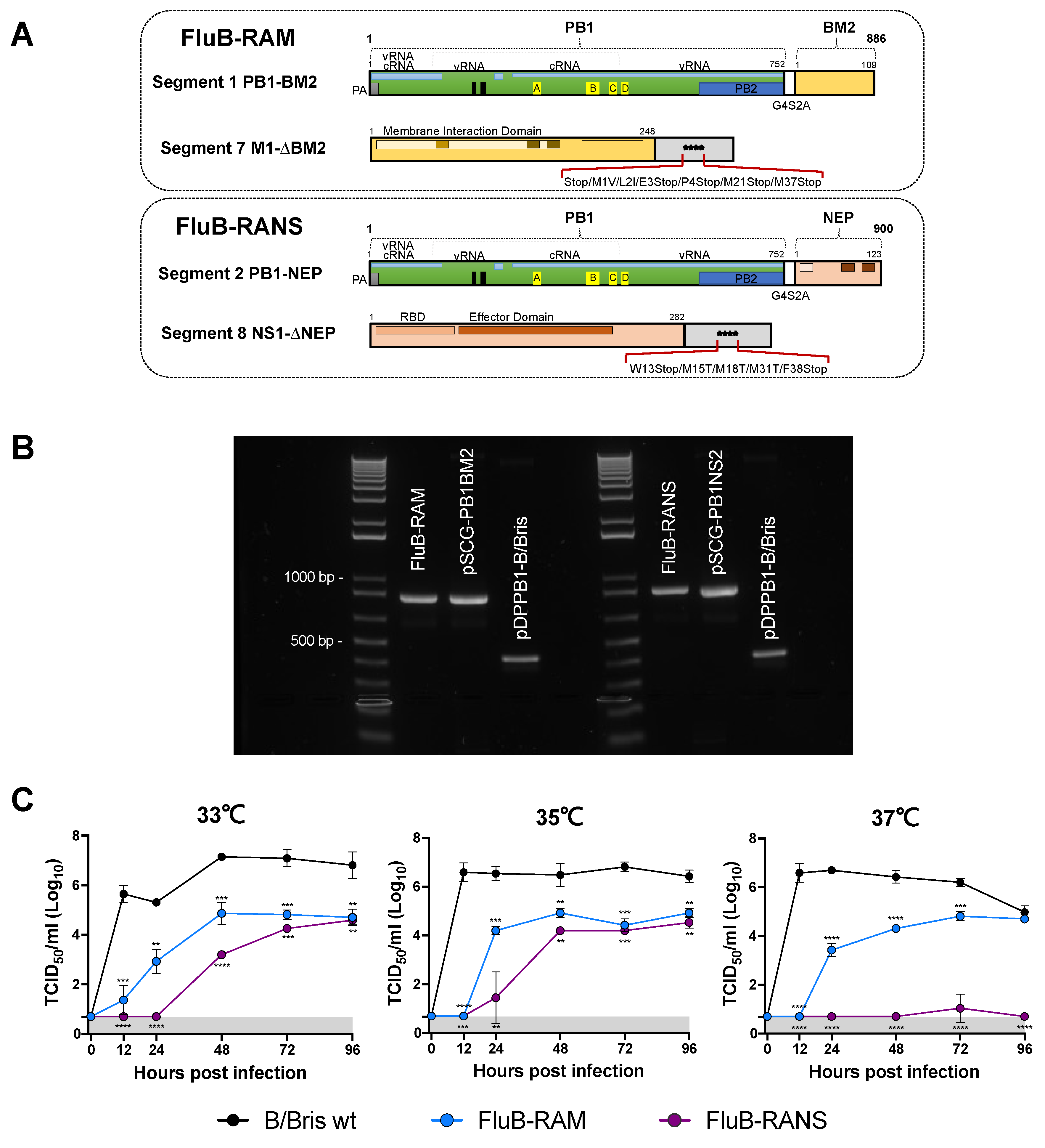 Vaccines 09 00897 g001
