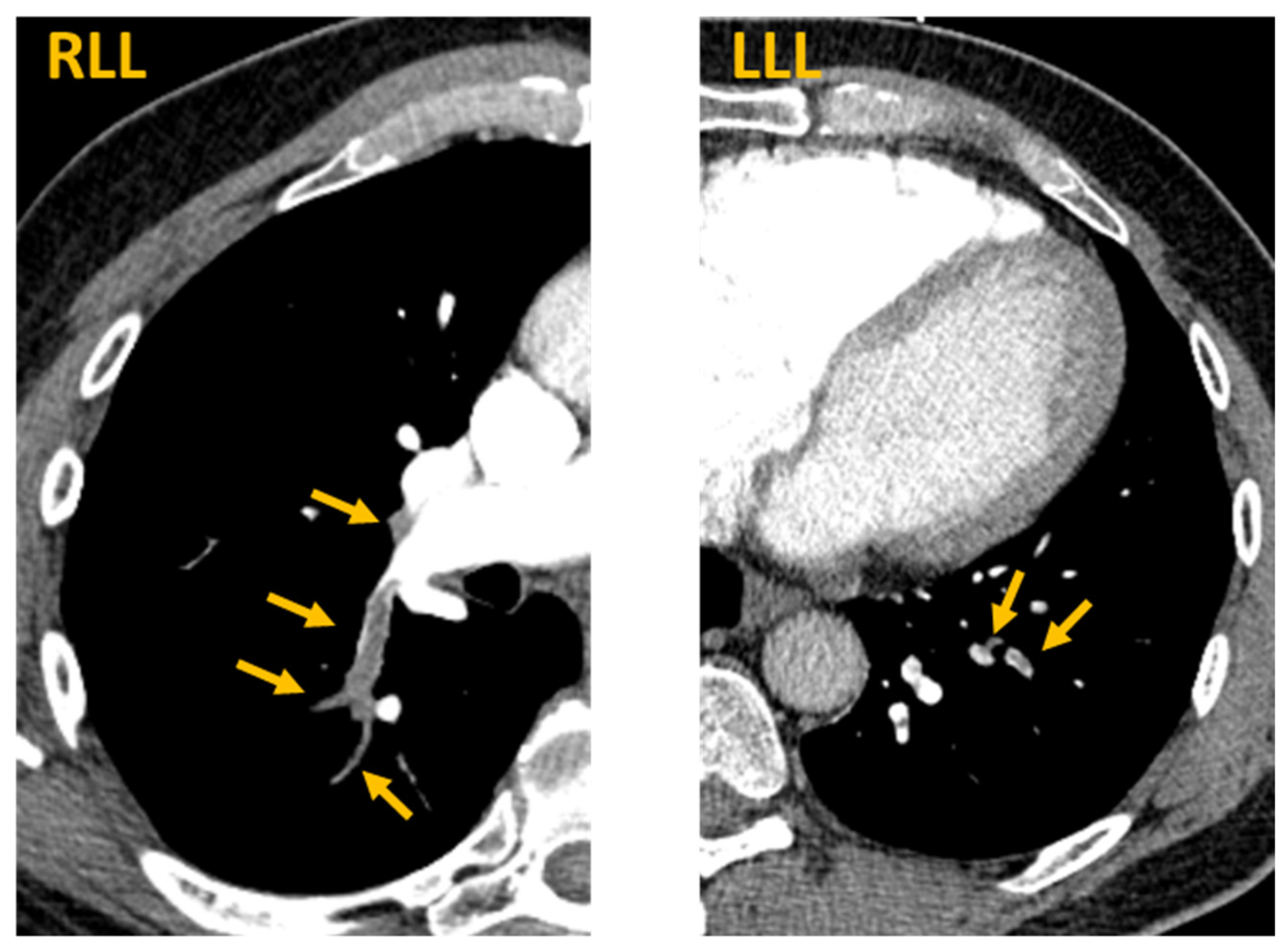 Vaccines 09 00903 g001 Vaccines 09 00903 g001