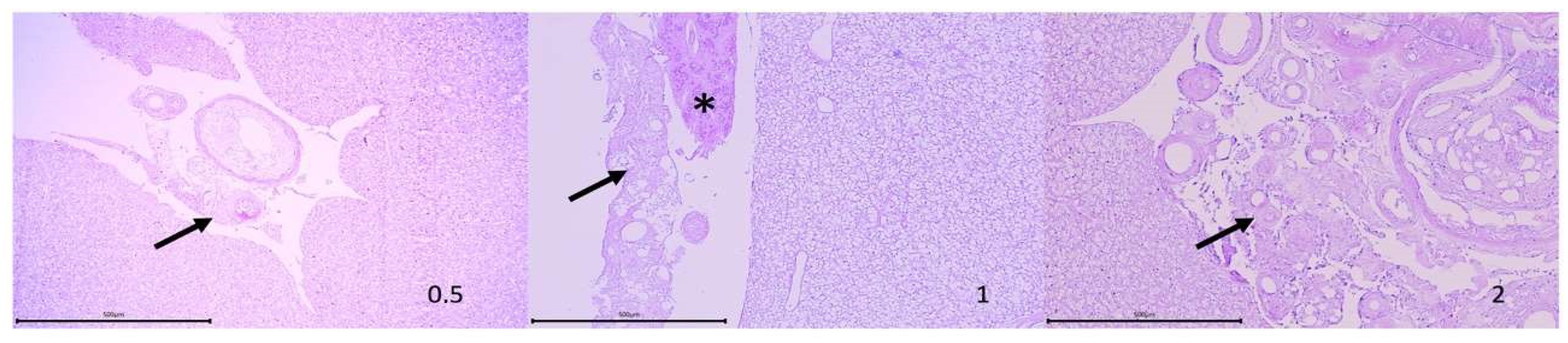 Vaccines 09 00906 g002
