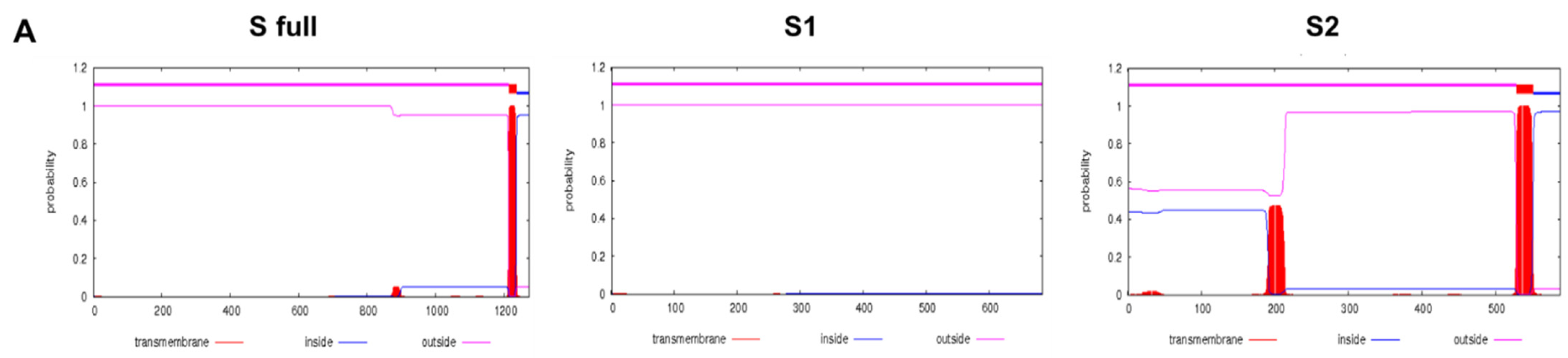 Vaccines 09 00920 g001a 550