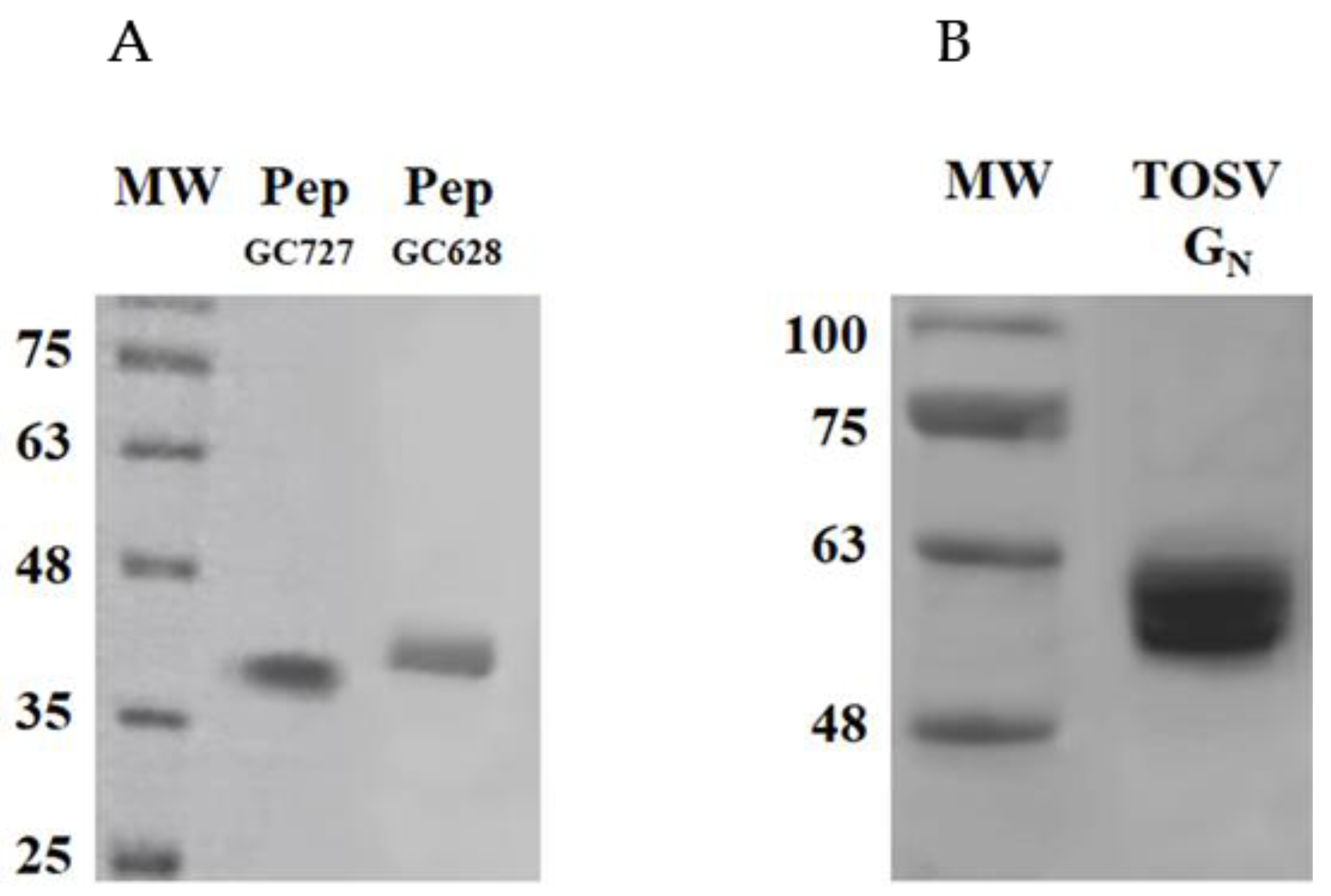 Vaccines 09 00924 g003
