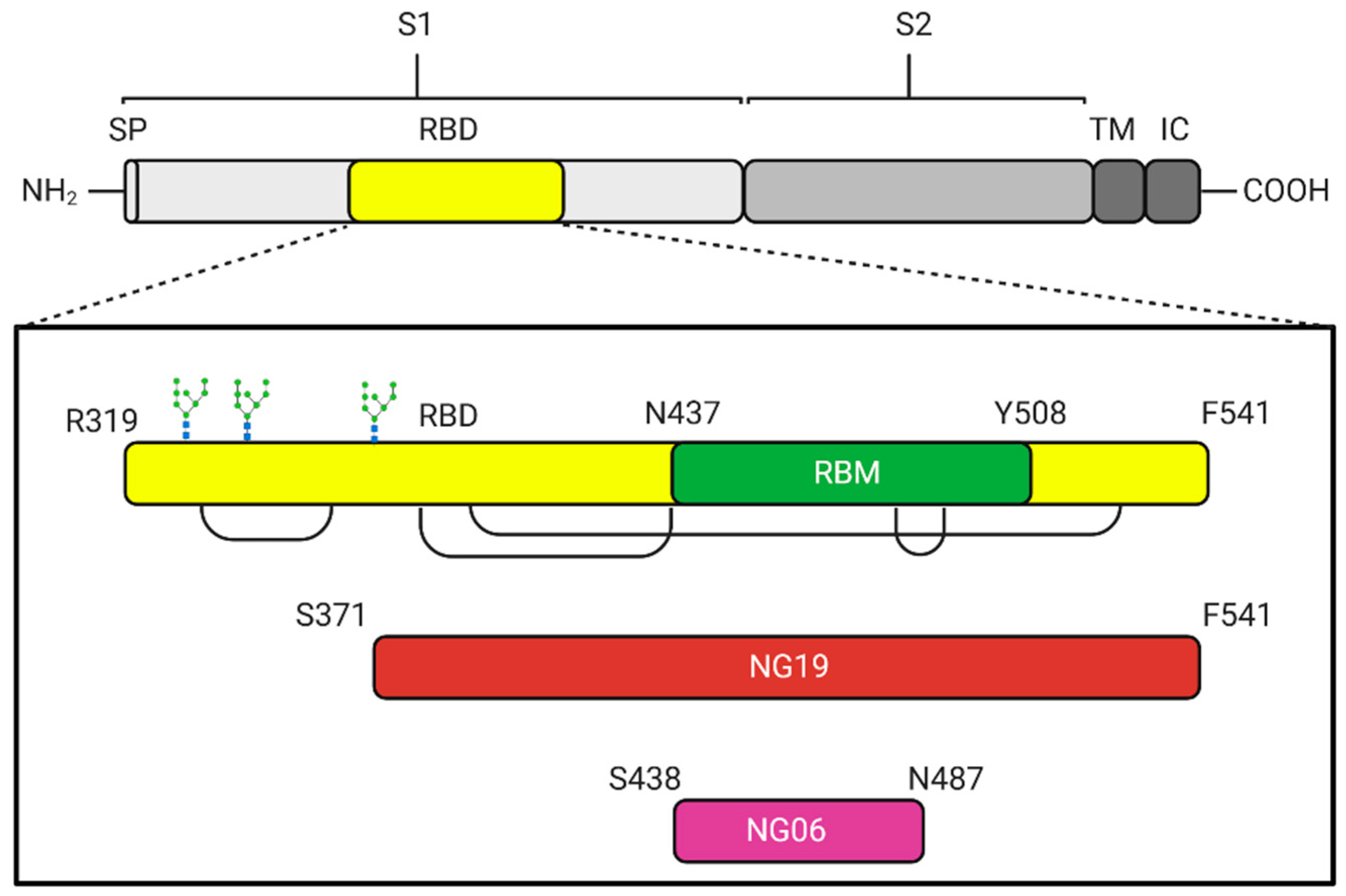 Vaccines 09 00928 g001