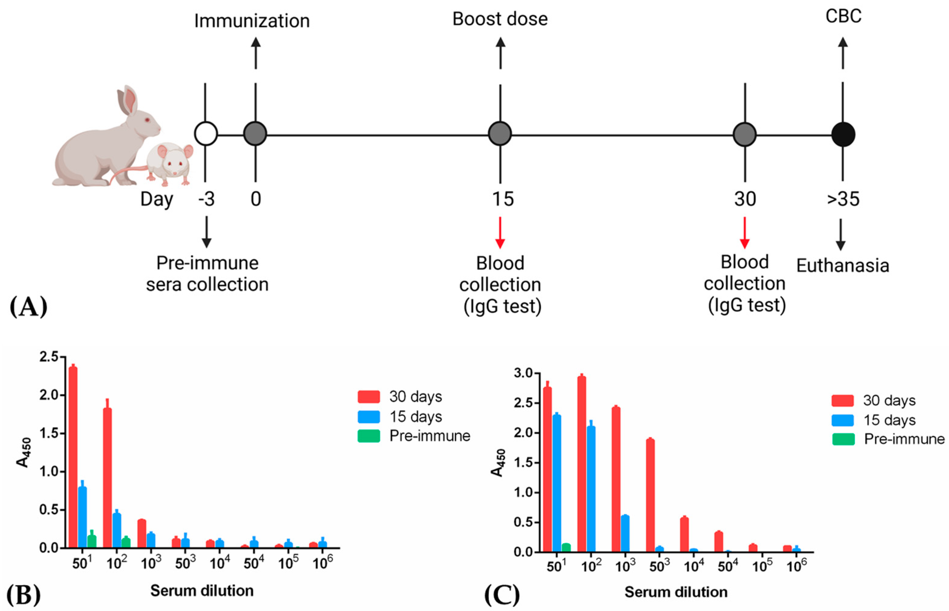 Vaccines 09 00928 g004