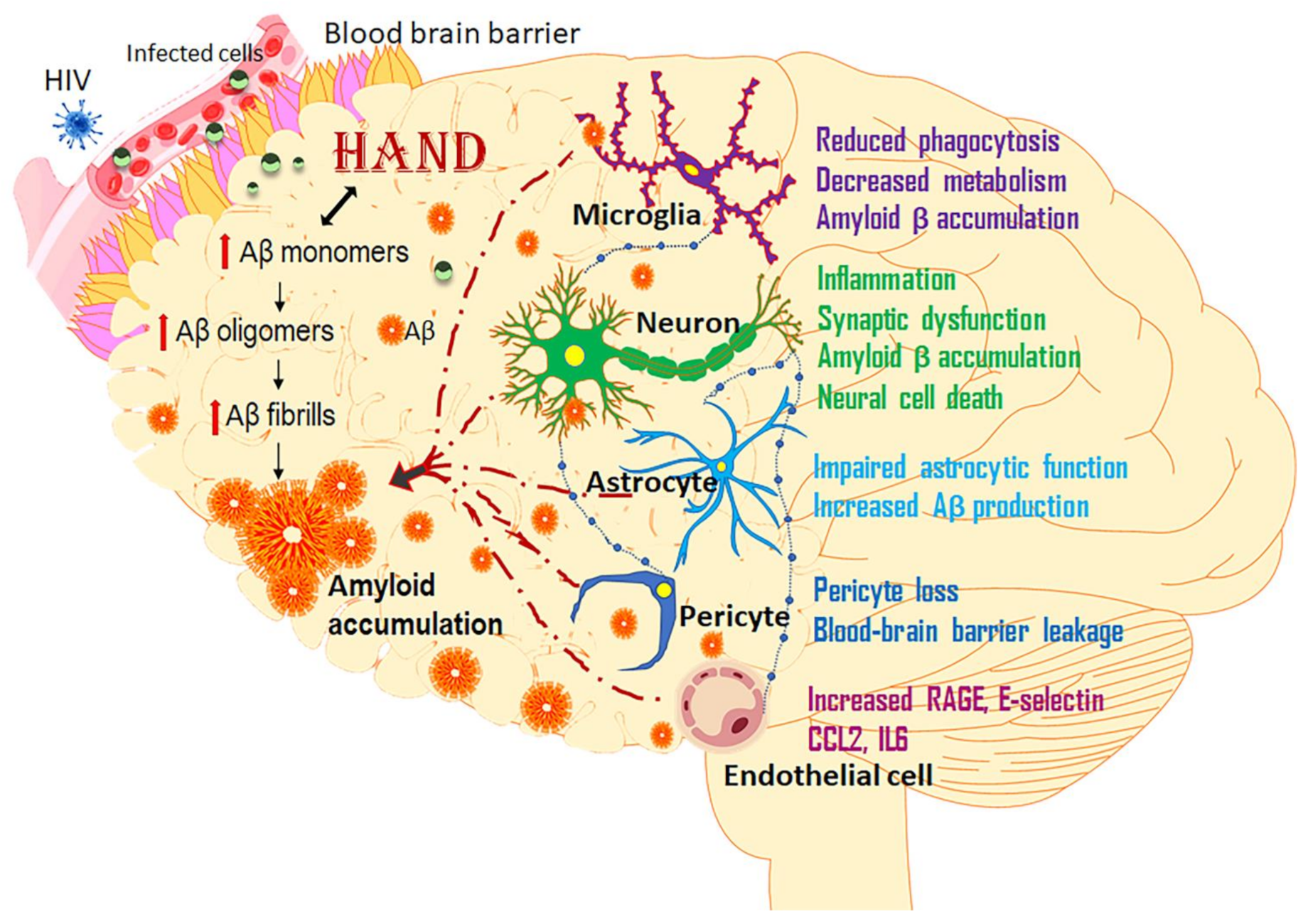 Vaccines 09 00930 g002 Vaccines 09 00930 g002