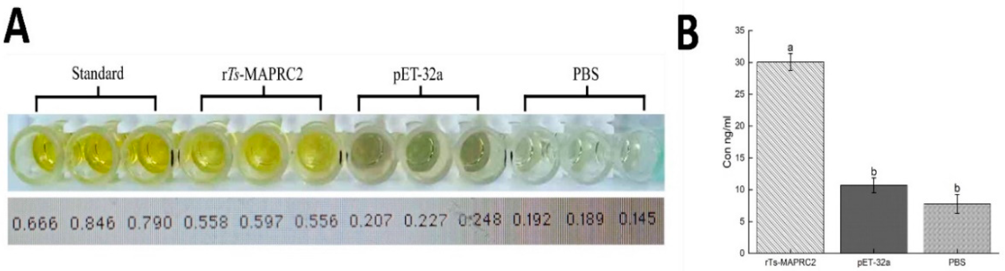 Vaccines 09 00934 g003