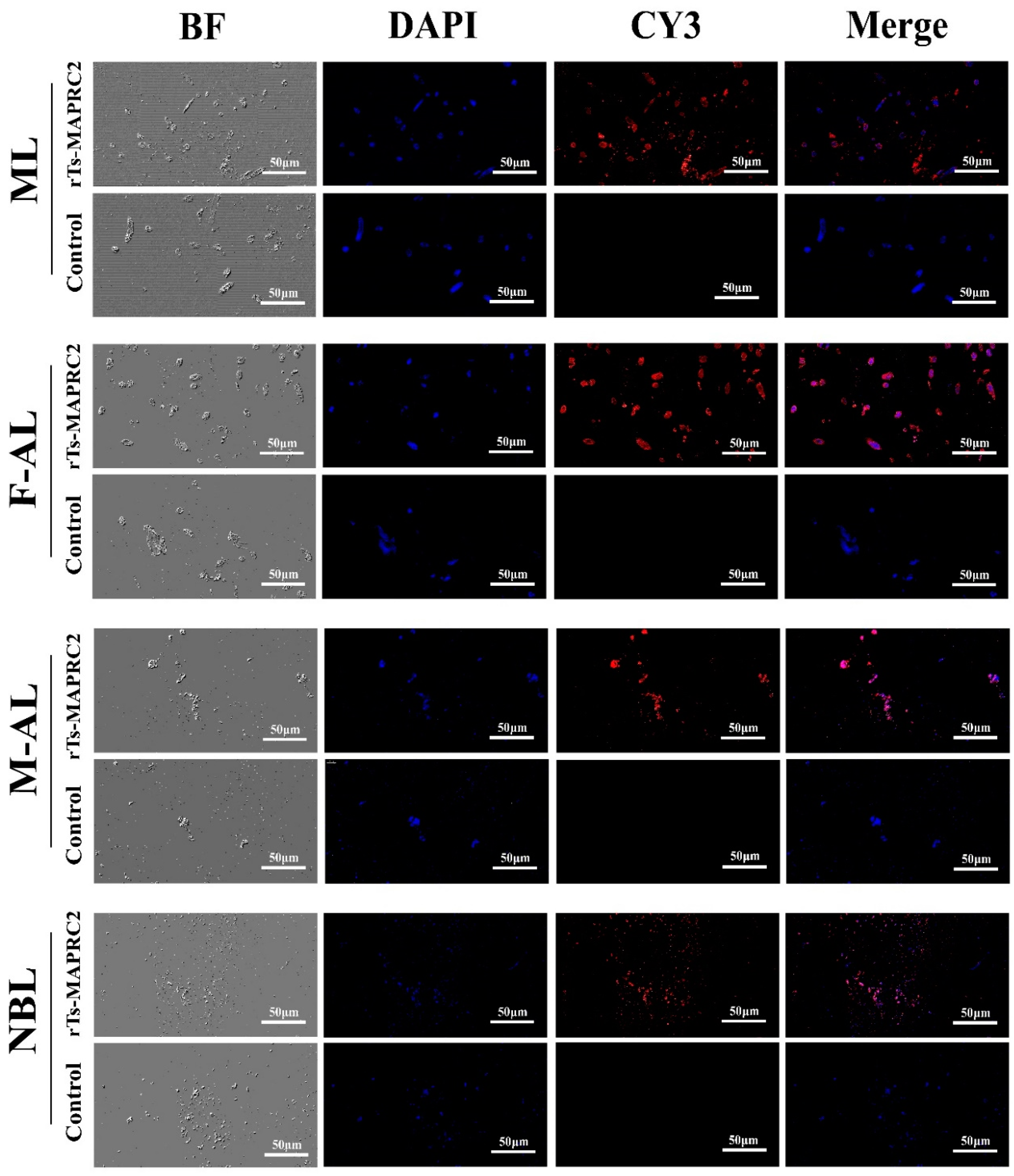Vaccines 09 00934 g004