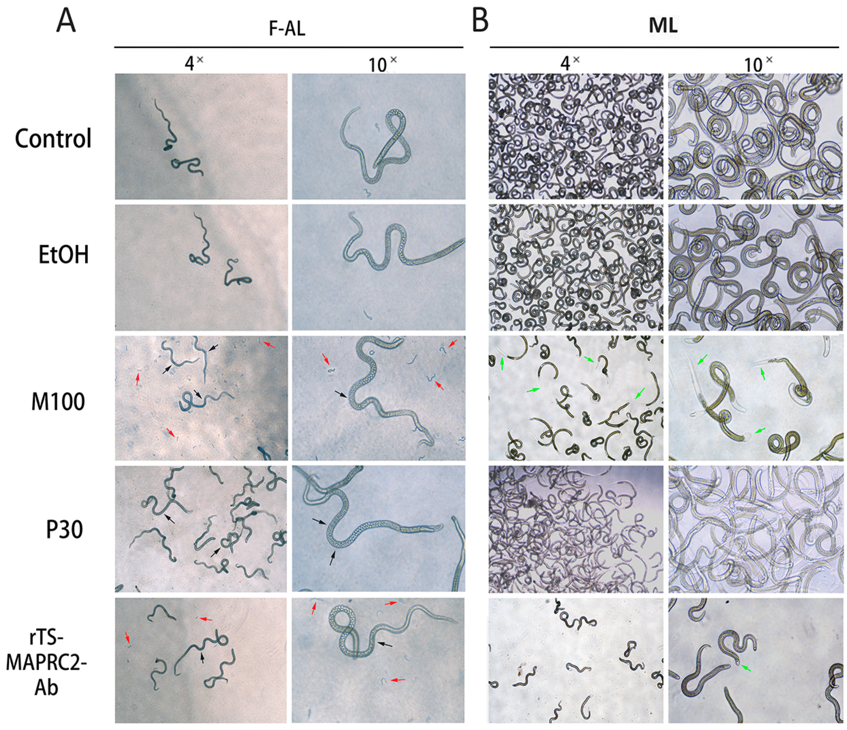 Vaccines 09 00934 g008