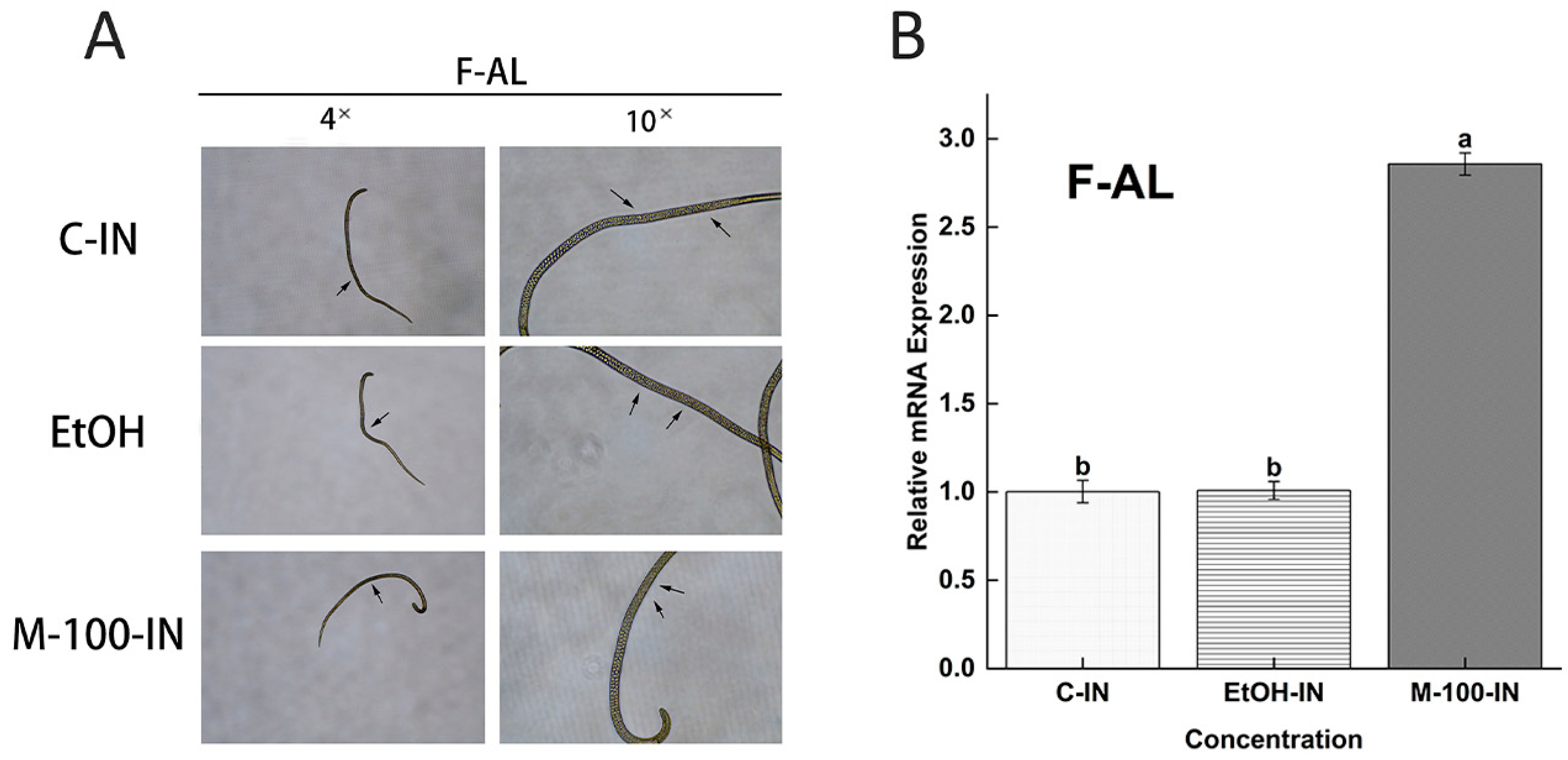 Vaccines 09 00934 g009