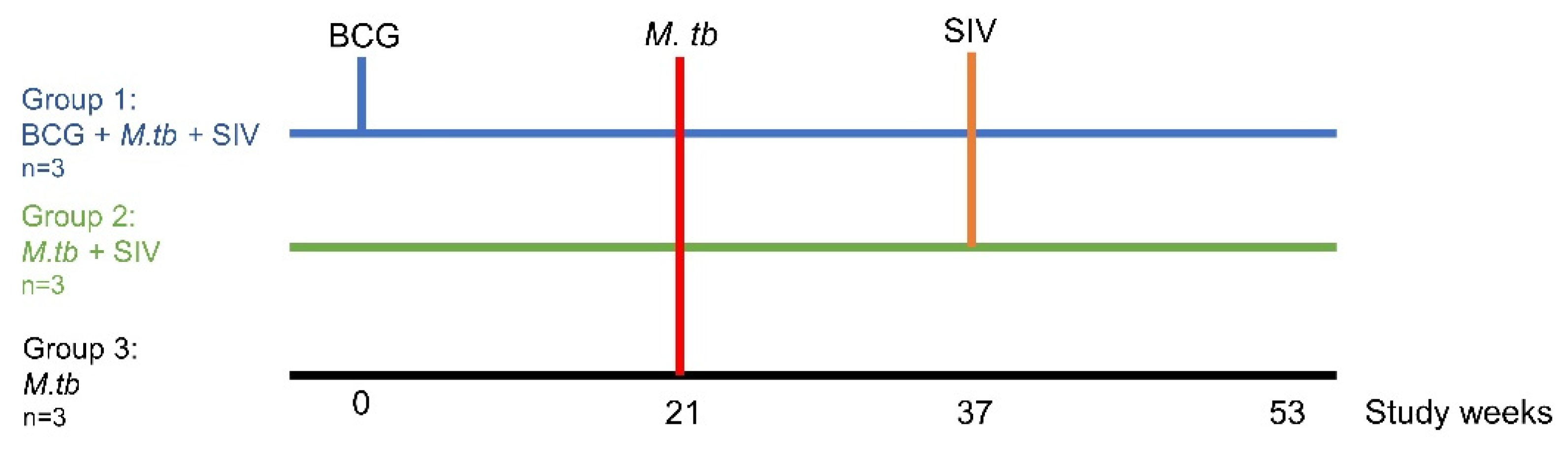 Vaccines 09 00945 g001