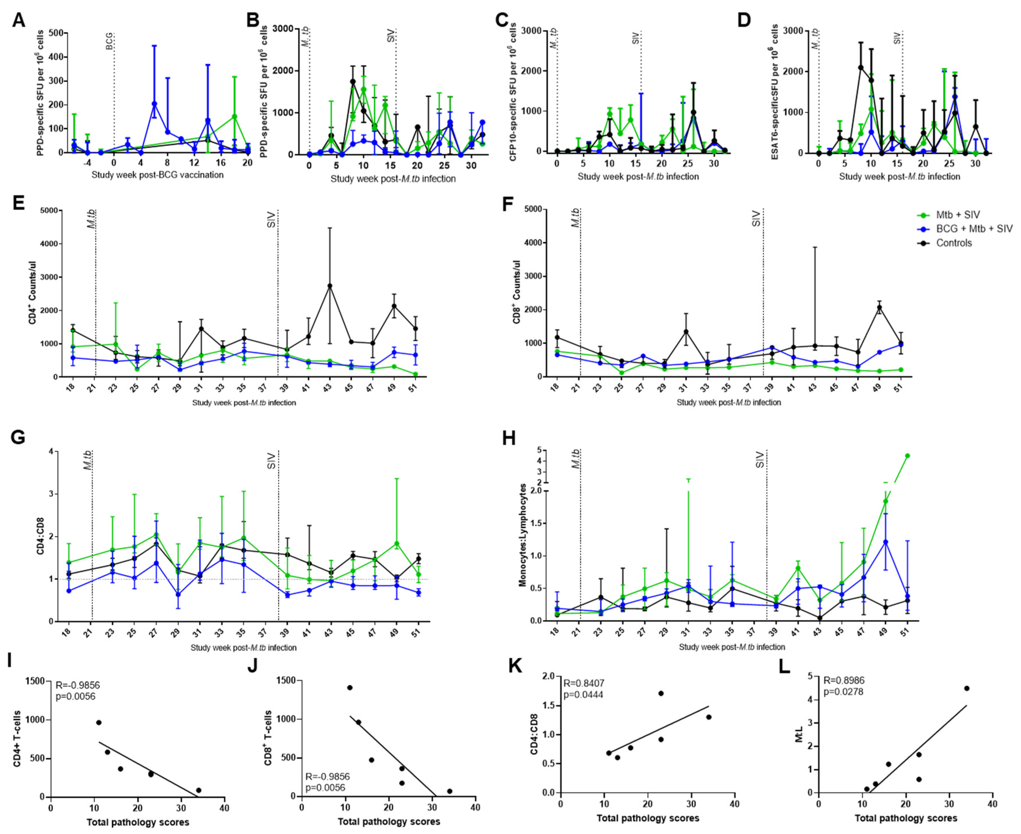 Vaccines 09 00945 g003