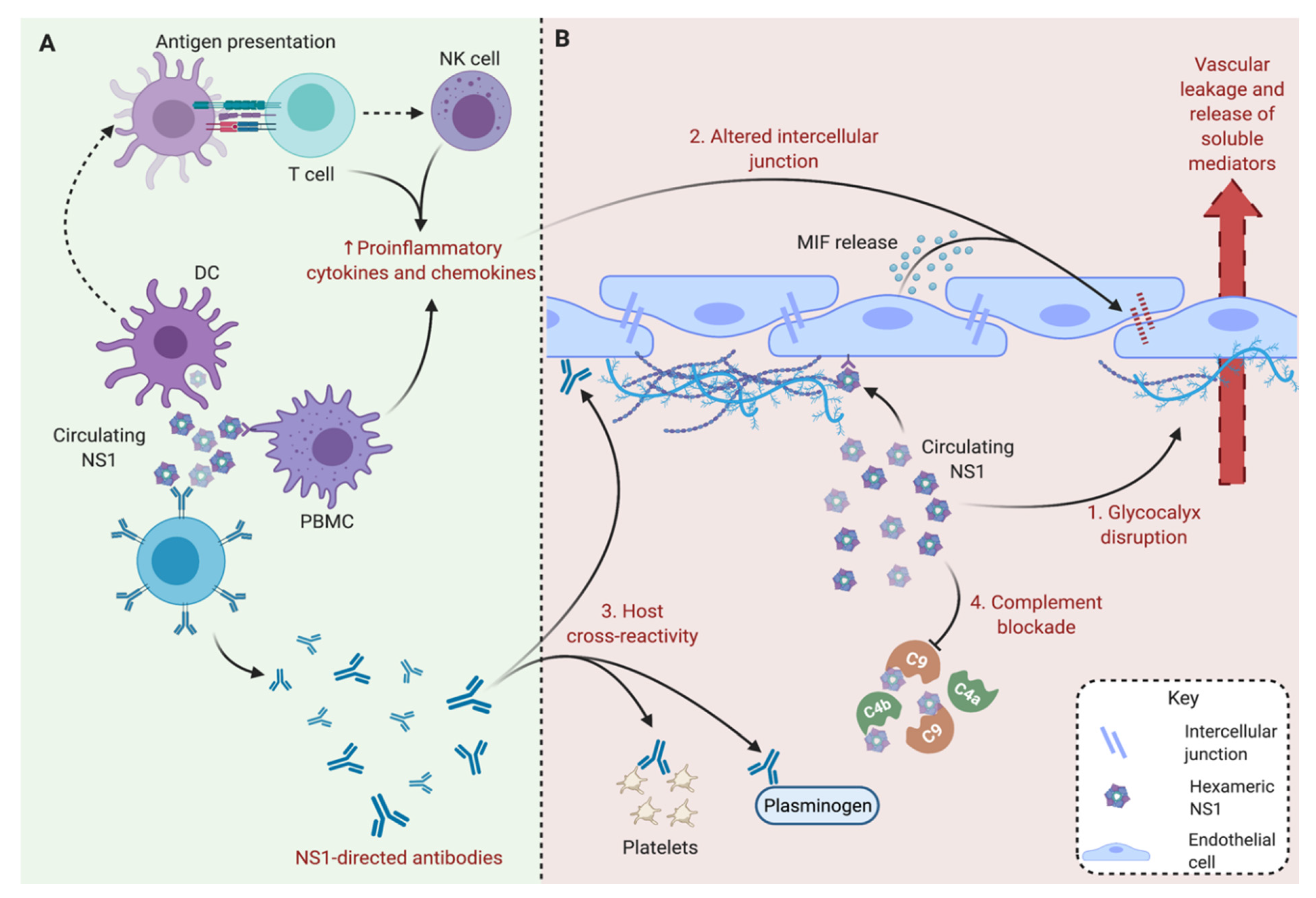 Vaccines 09 00946 g002