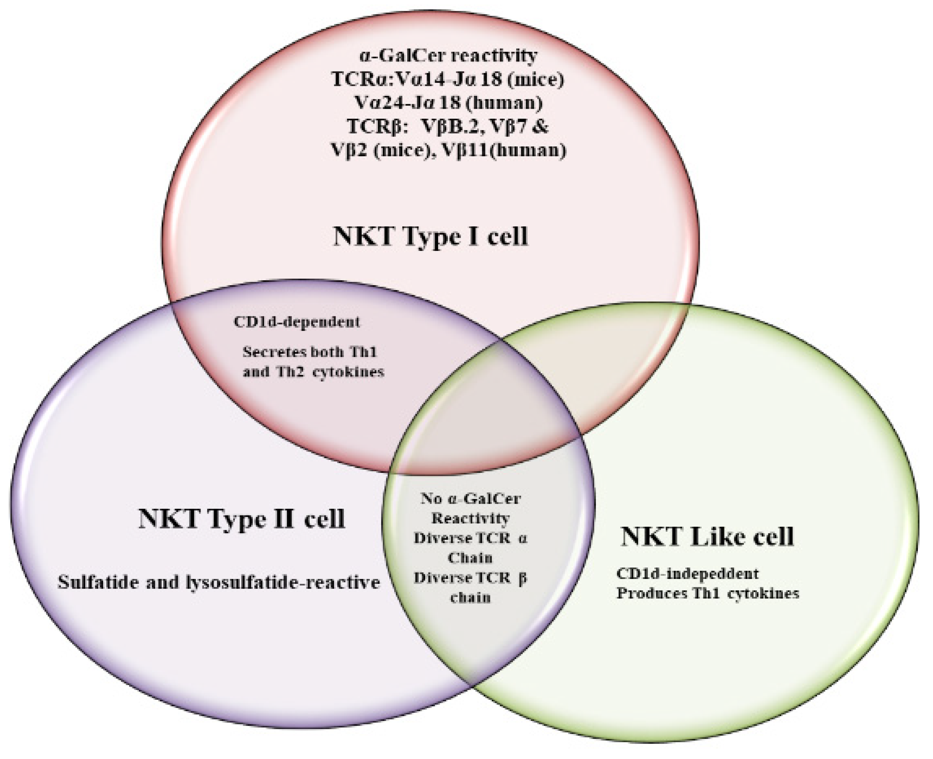 Role of NKT Cells during Viral Infection and the Development