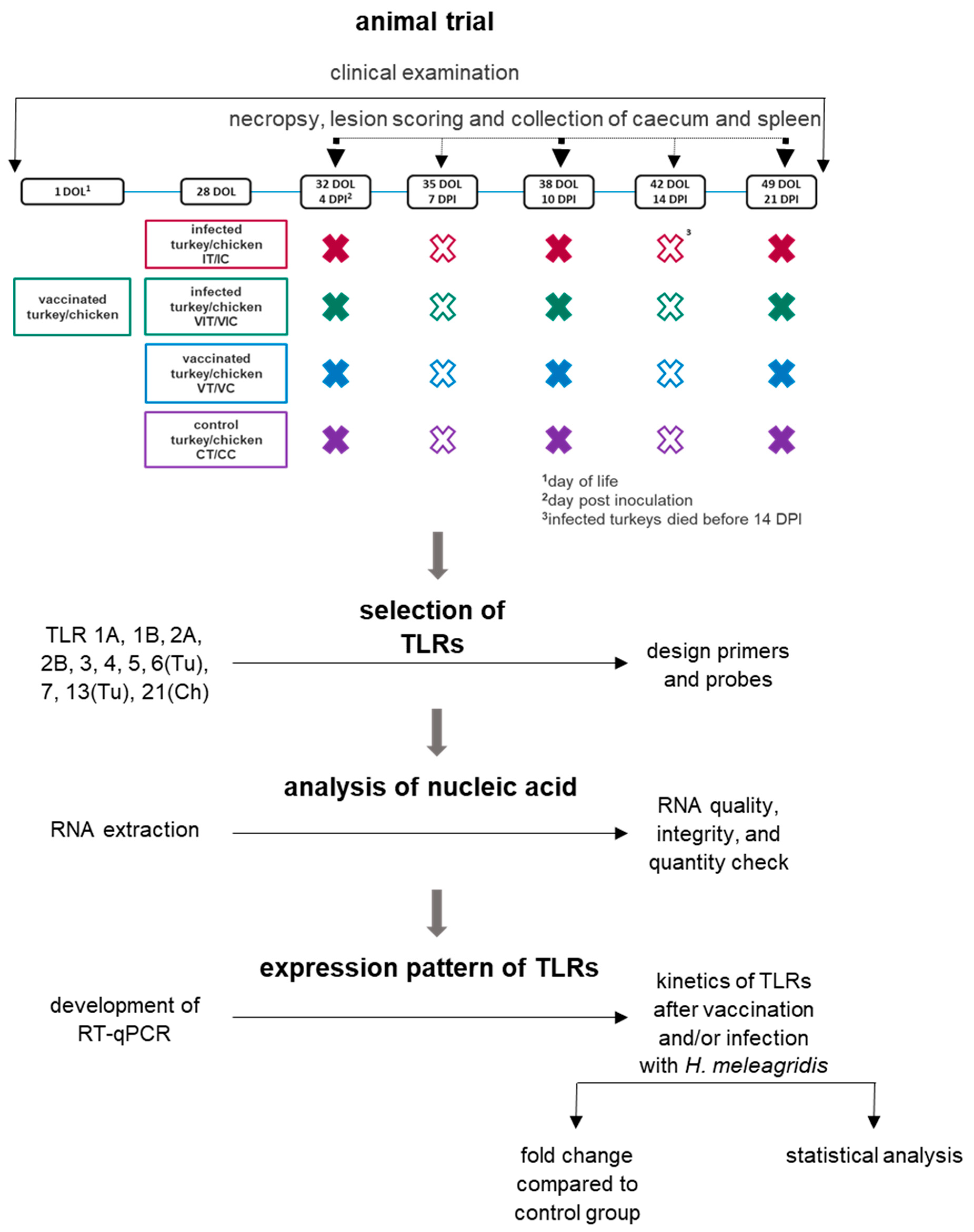 Vaccines 09 00960 g001