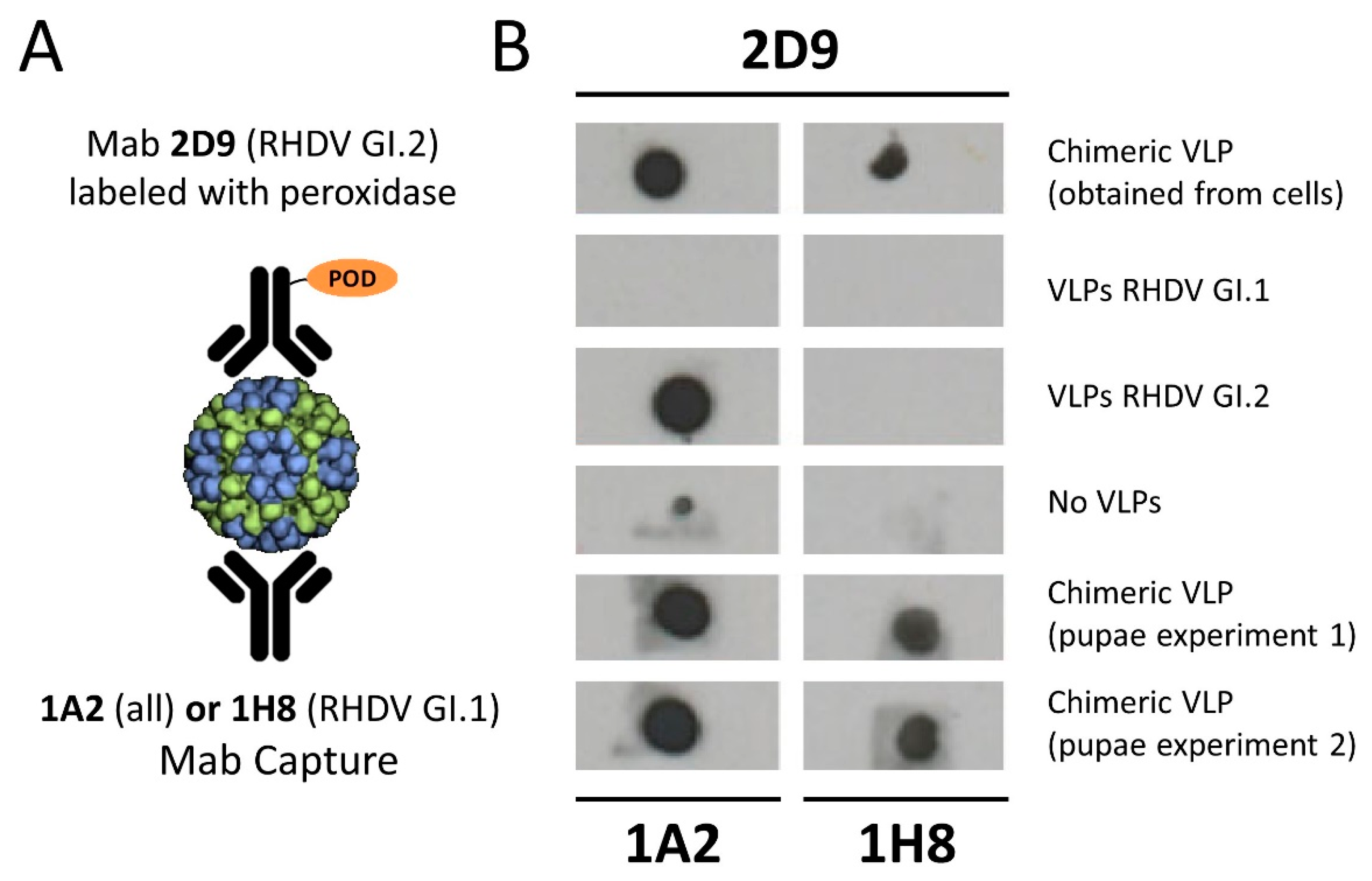 Vaccines 09 01005 g003