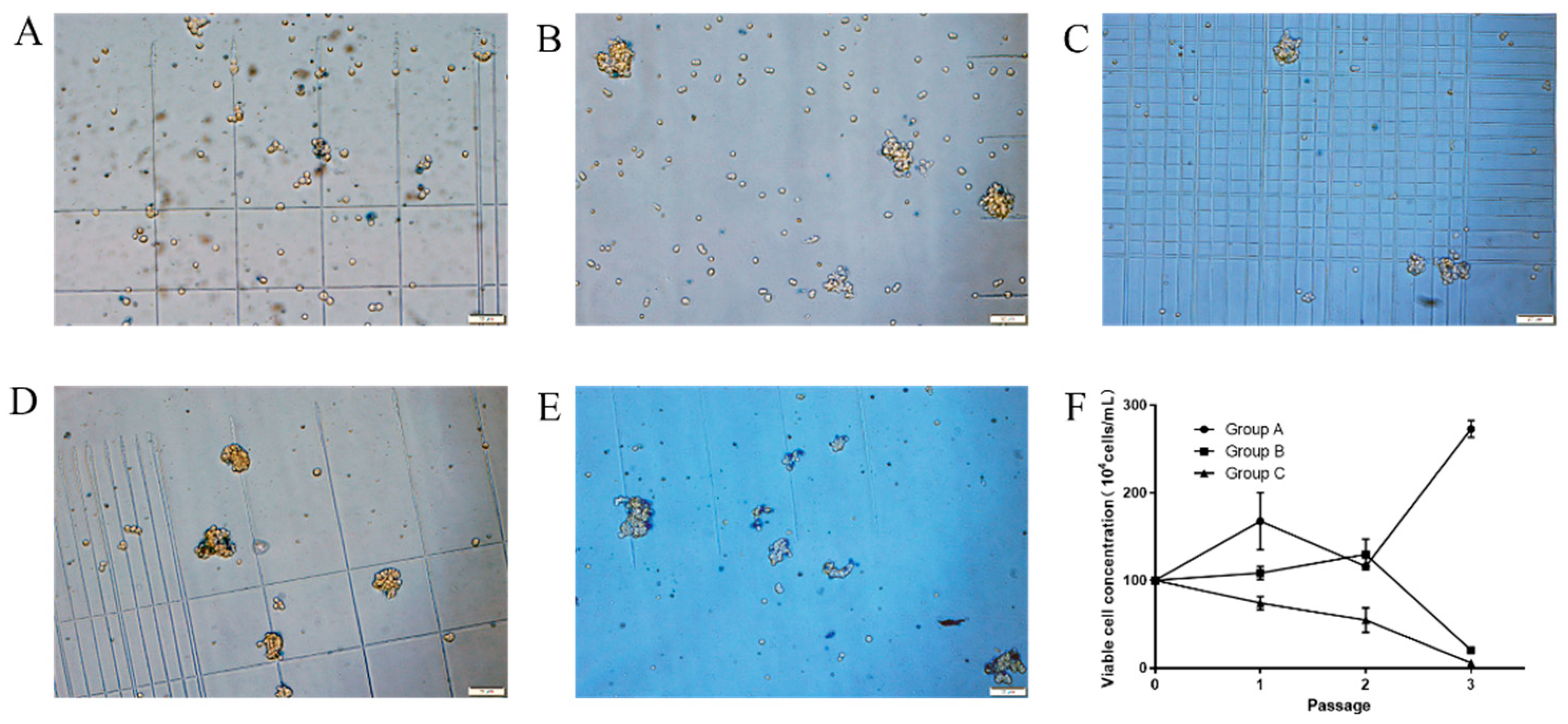 Vaccines 09 01006 g001