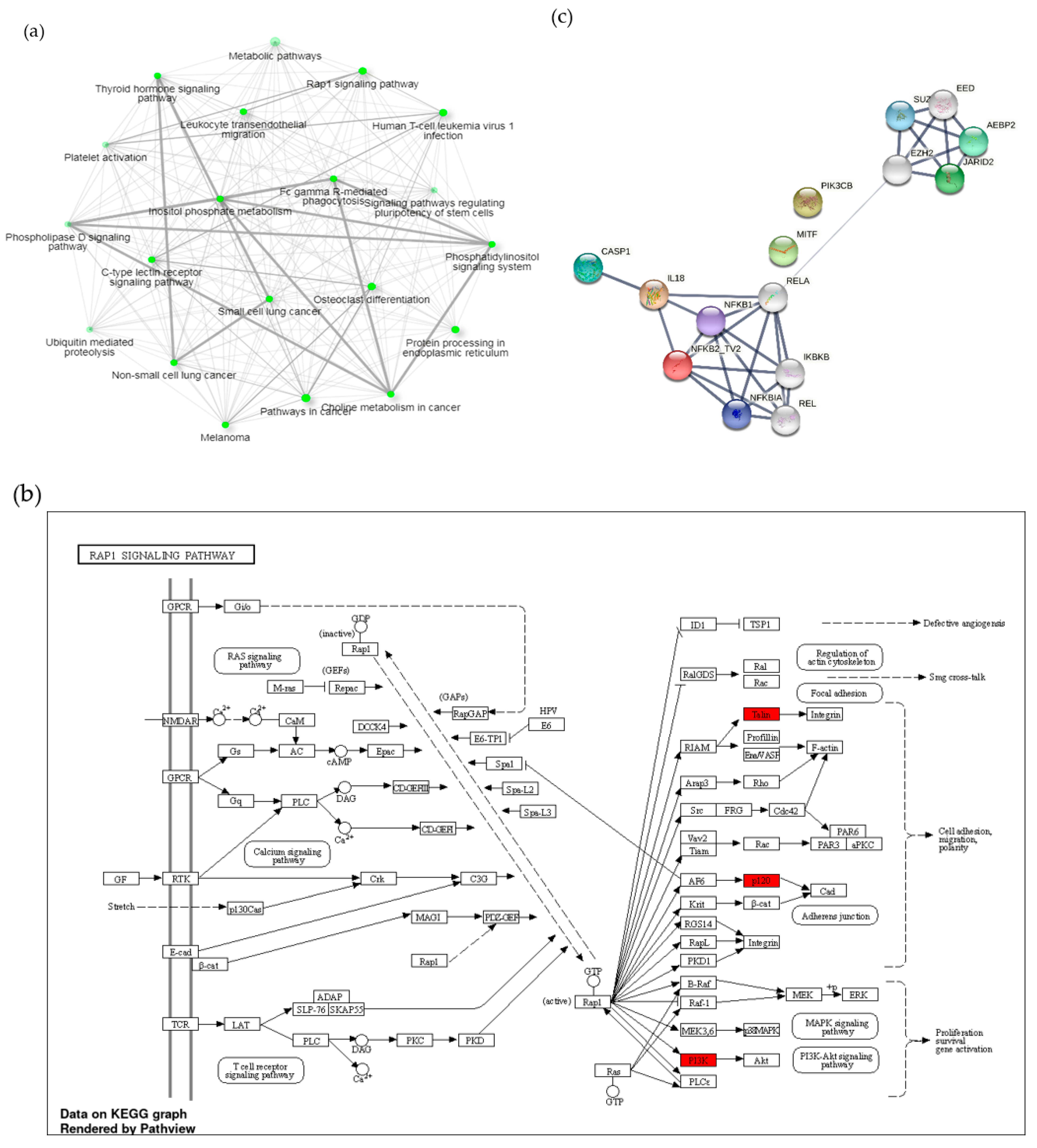 Vaccines 09 01009 g004