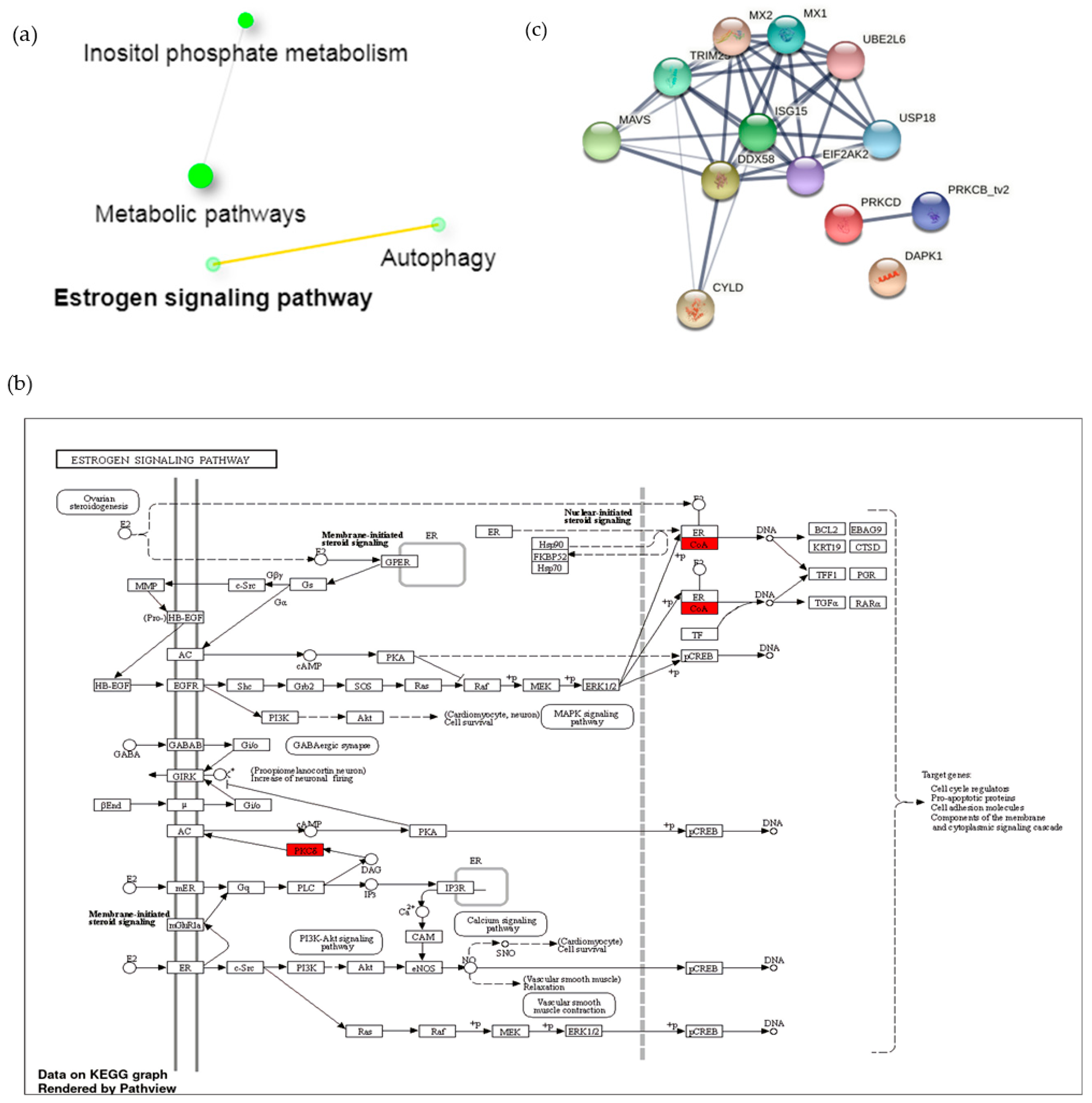 Vaccines 09 01009 g005