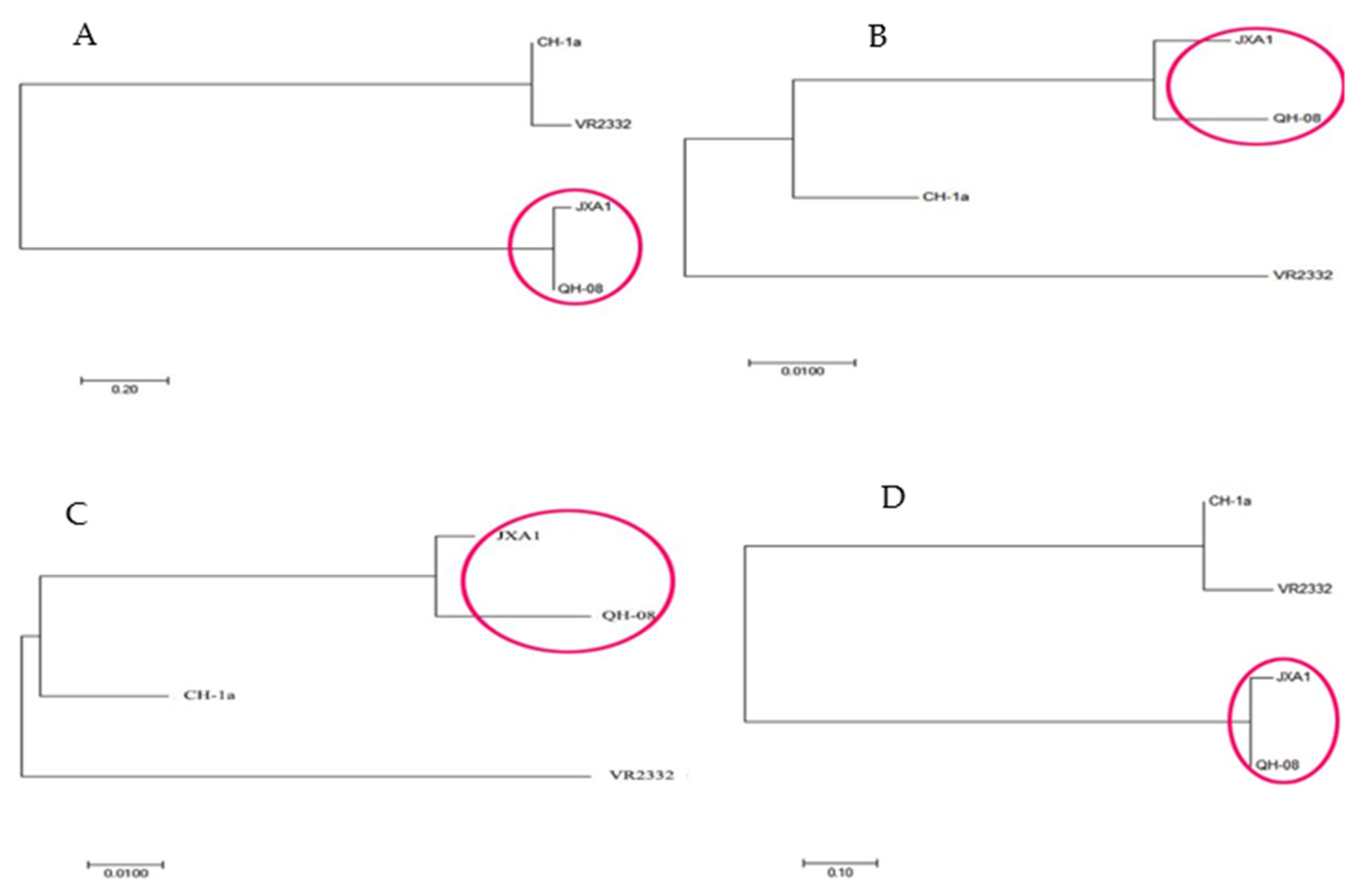 Vaccines 09 01020 g001