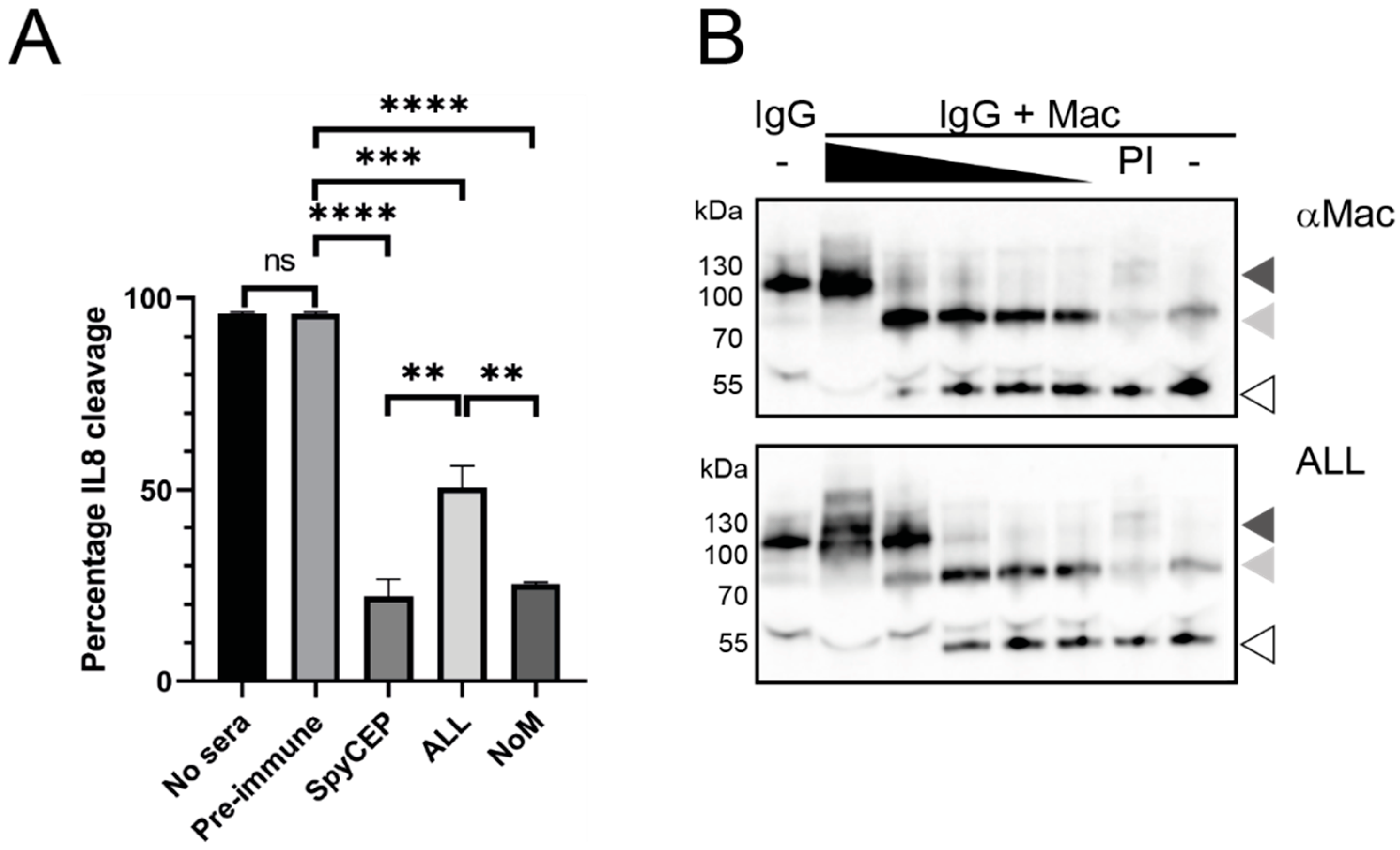 Vaccines 09 01025 g003