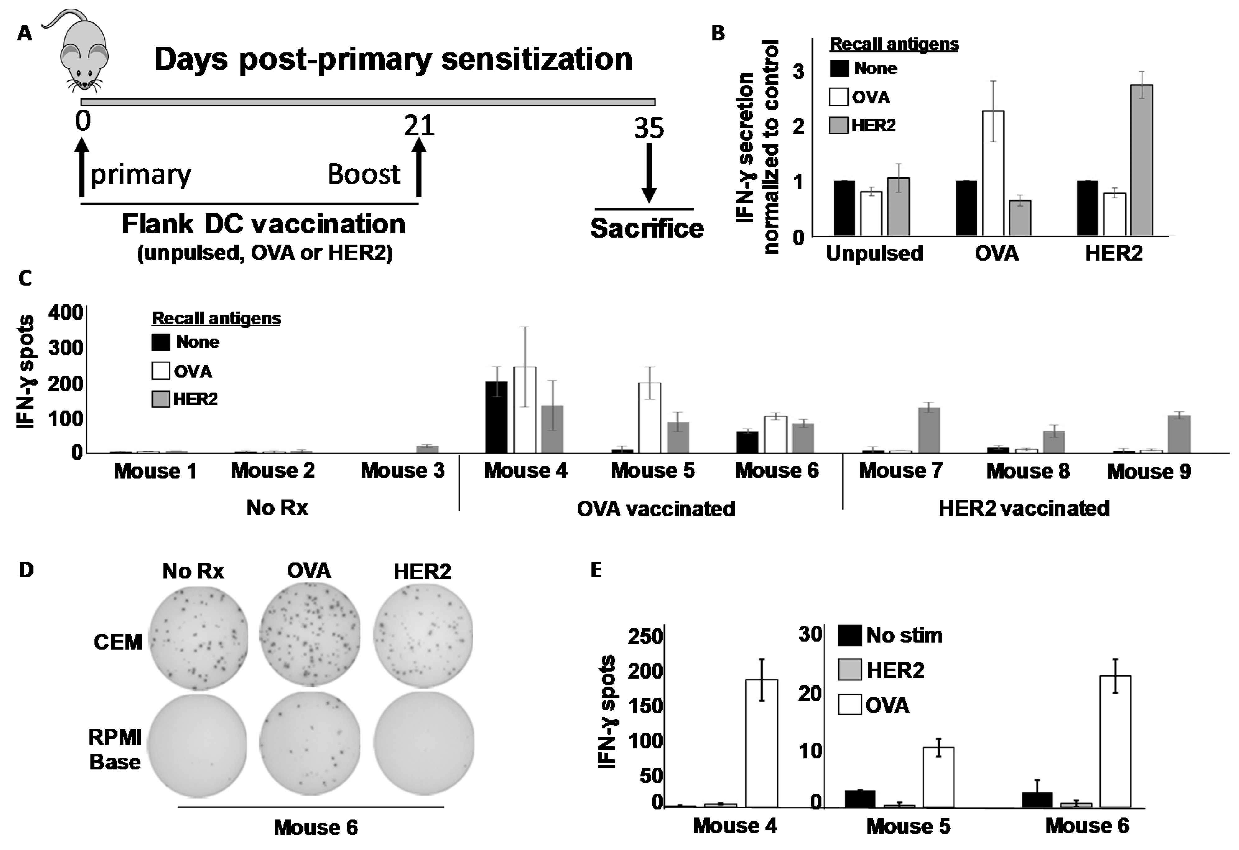 Vaccines 09 01037 g002 550