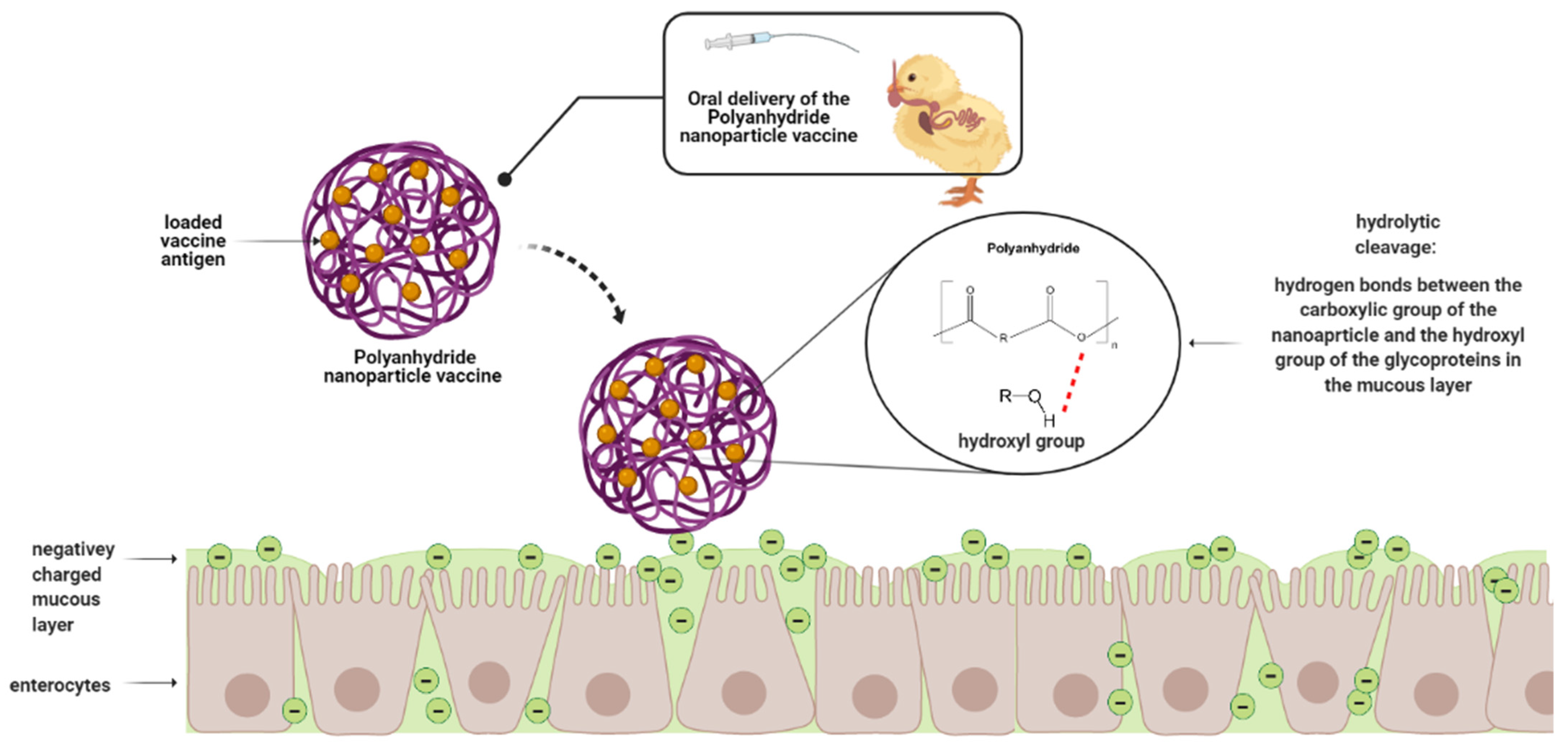 Vaccines 09 01041 g006