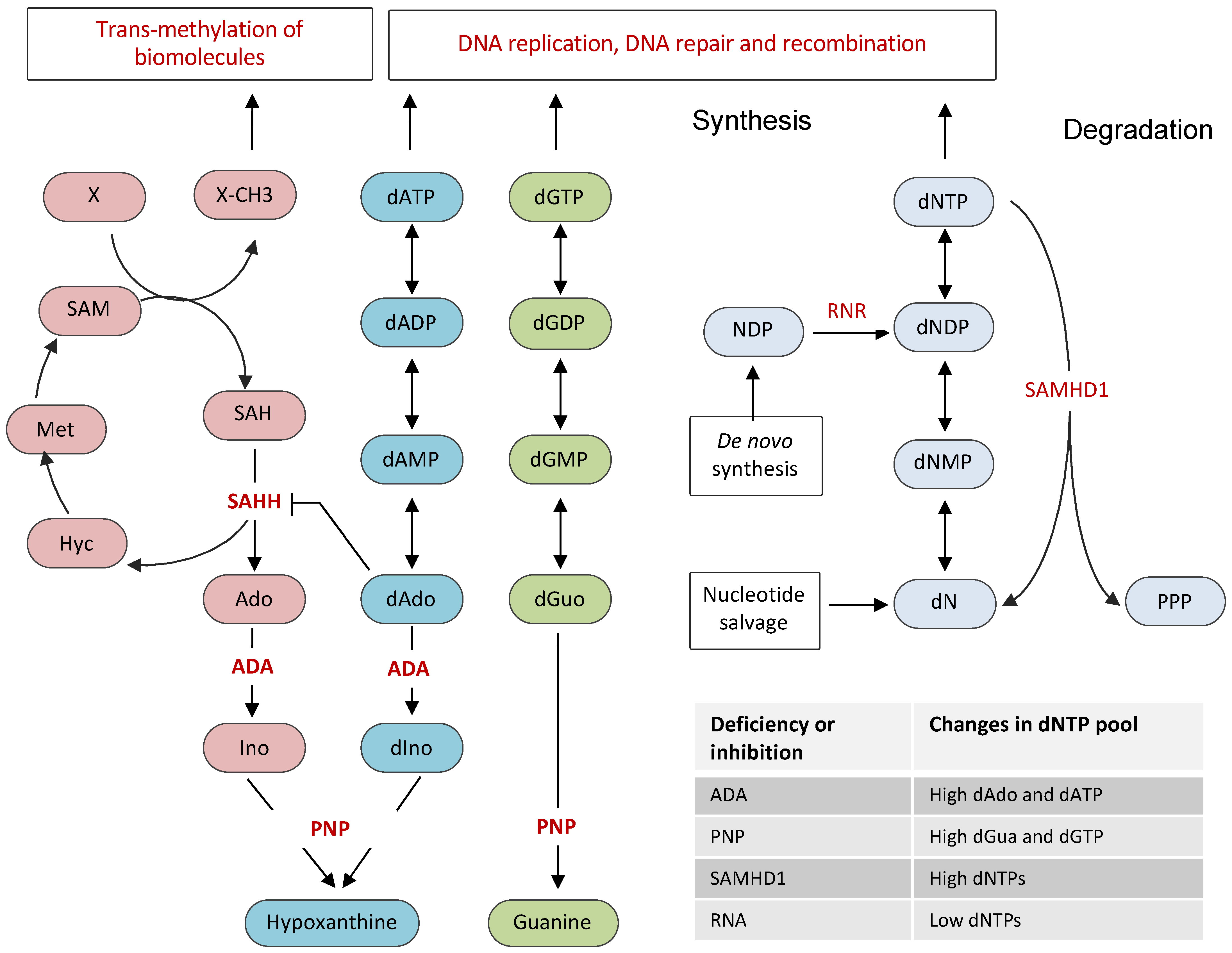 Vaccines 09 01050 g001