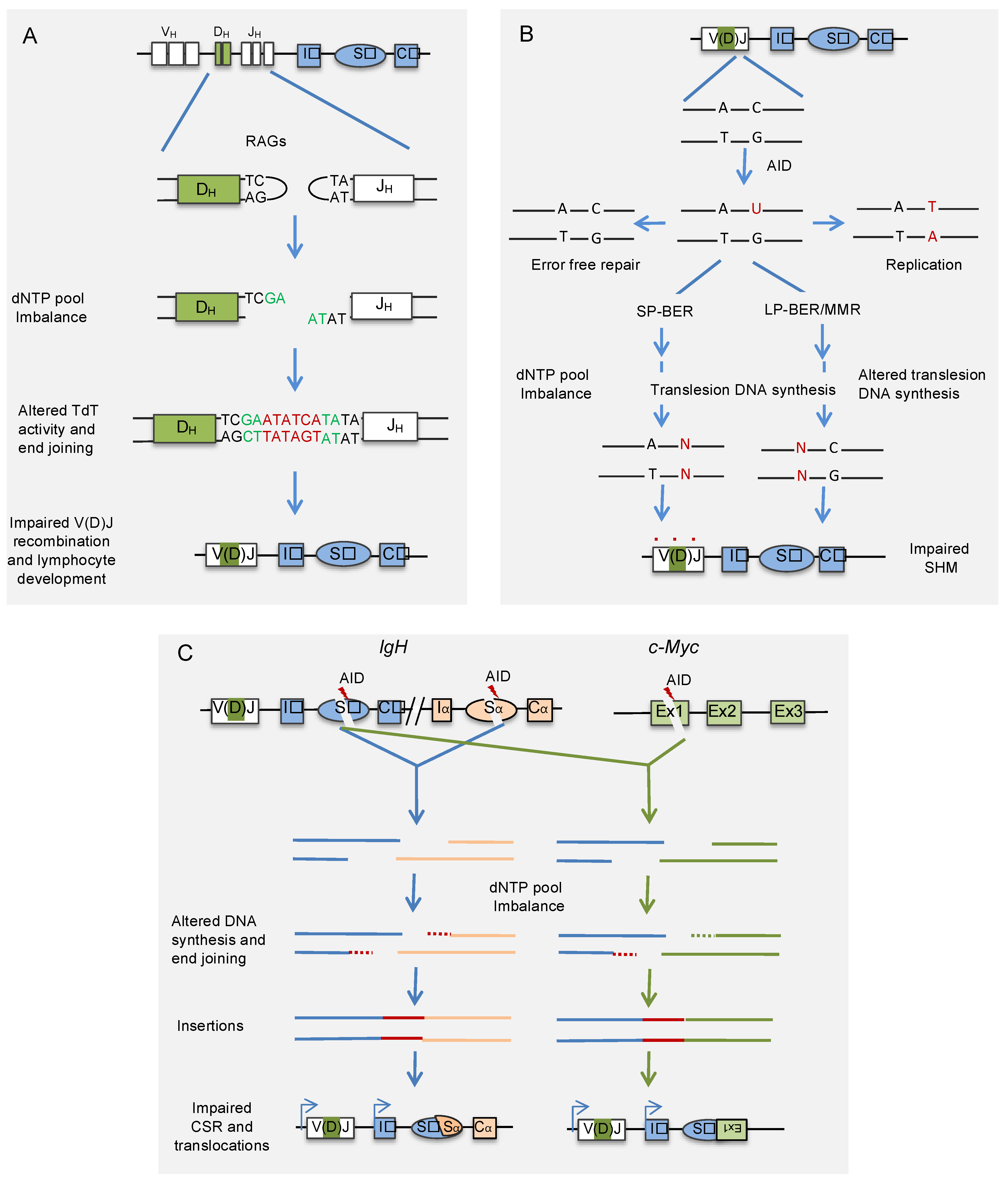 Vaccines 09 01050 g002
