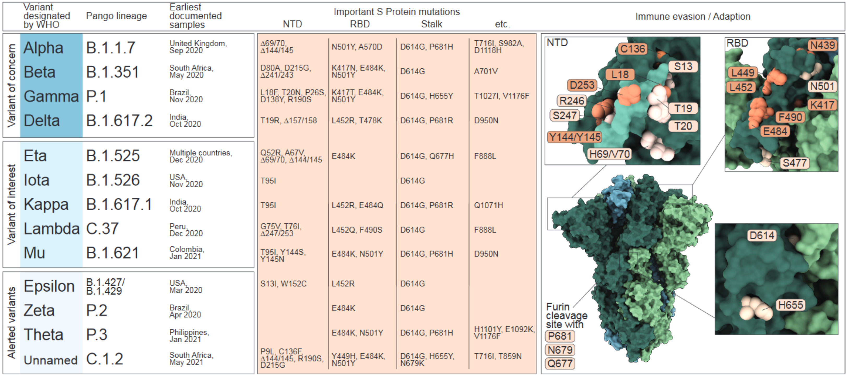 Vaccines 09 01052 g001
