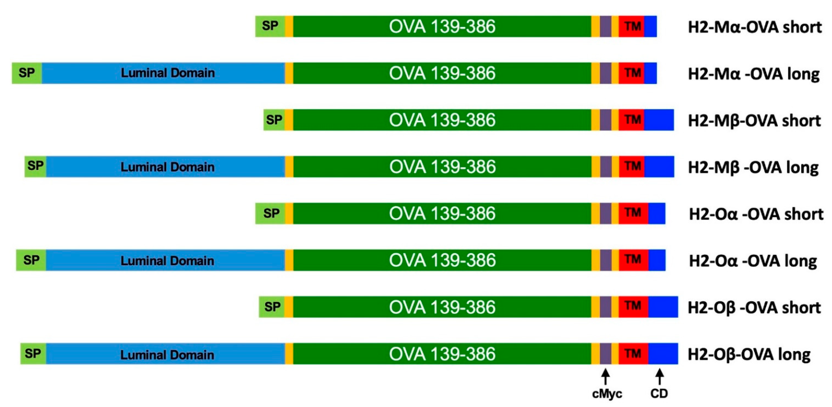 Vaccines 09 01053 g001 550