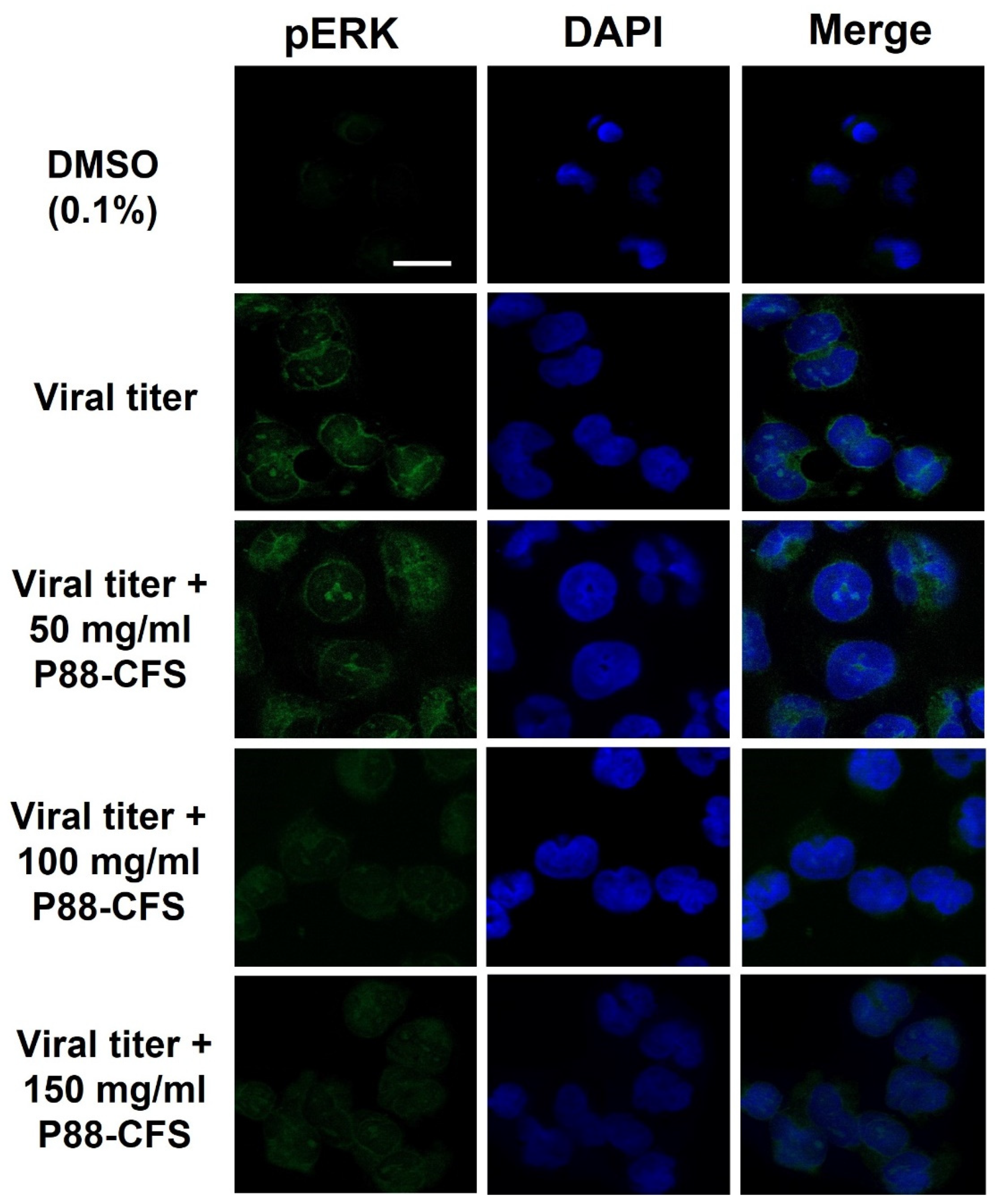 Vaccines 09 01067 g004