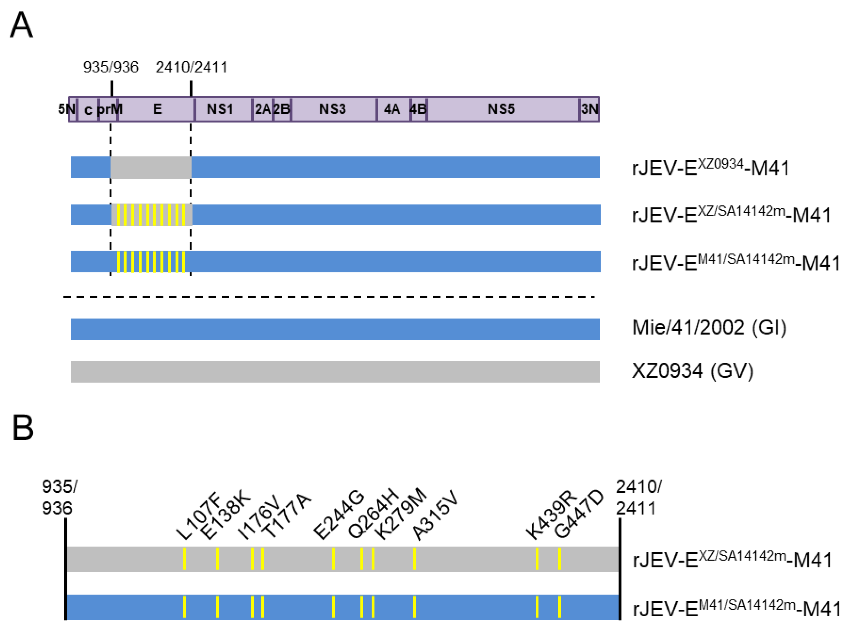 Vaccines 09 01077 g001