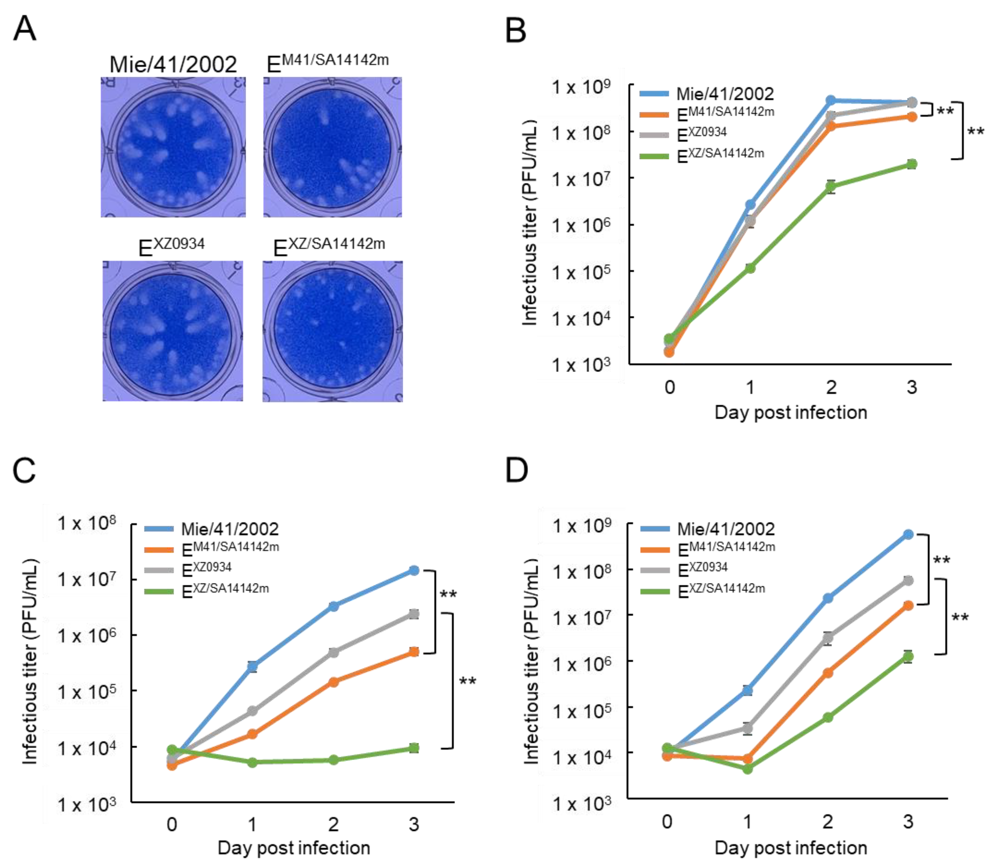 Vaccines 09 01077 g002