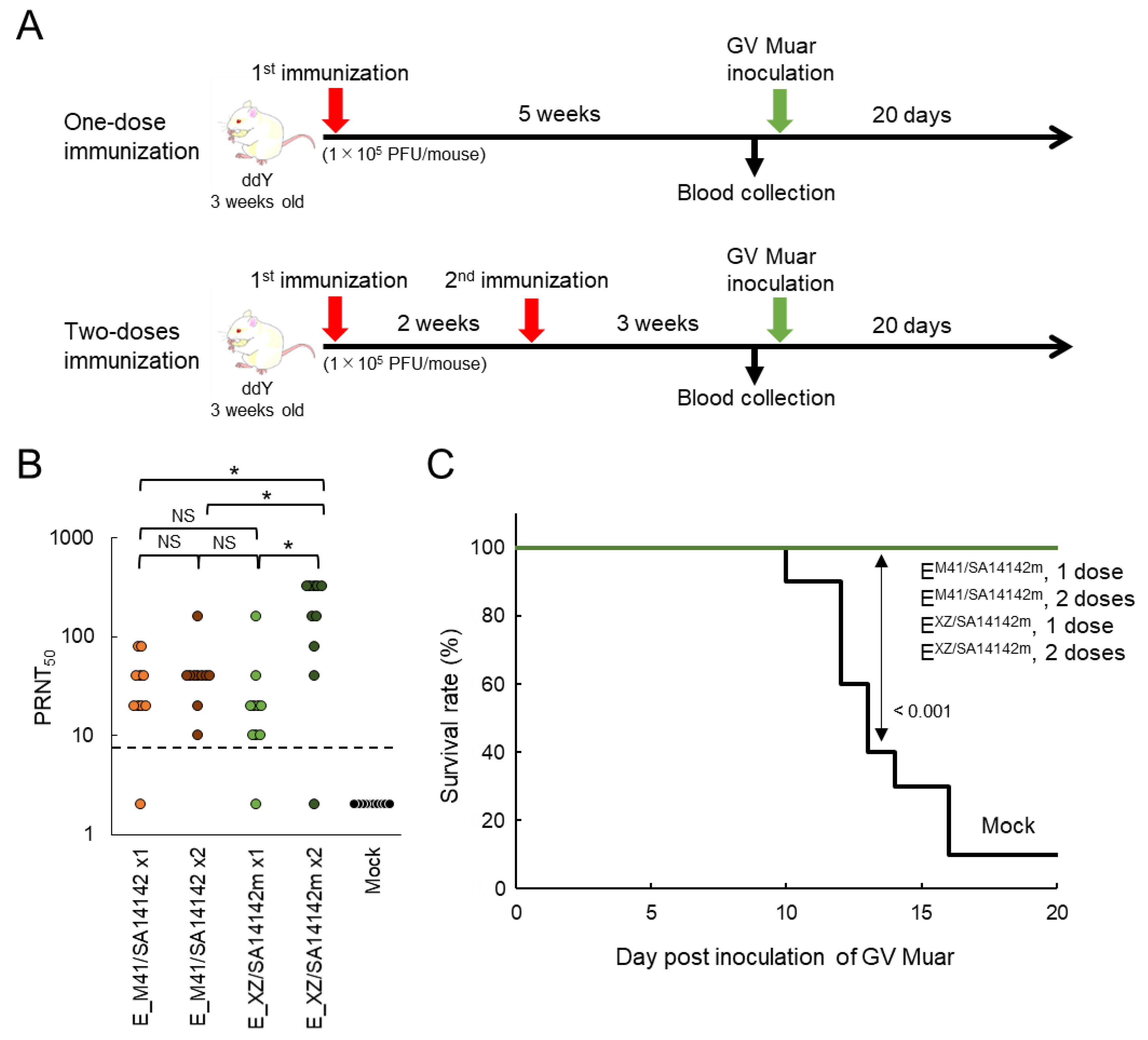 Vaccines 09 01077 g006