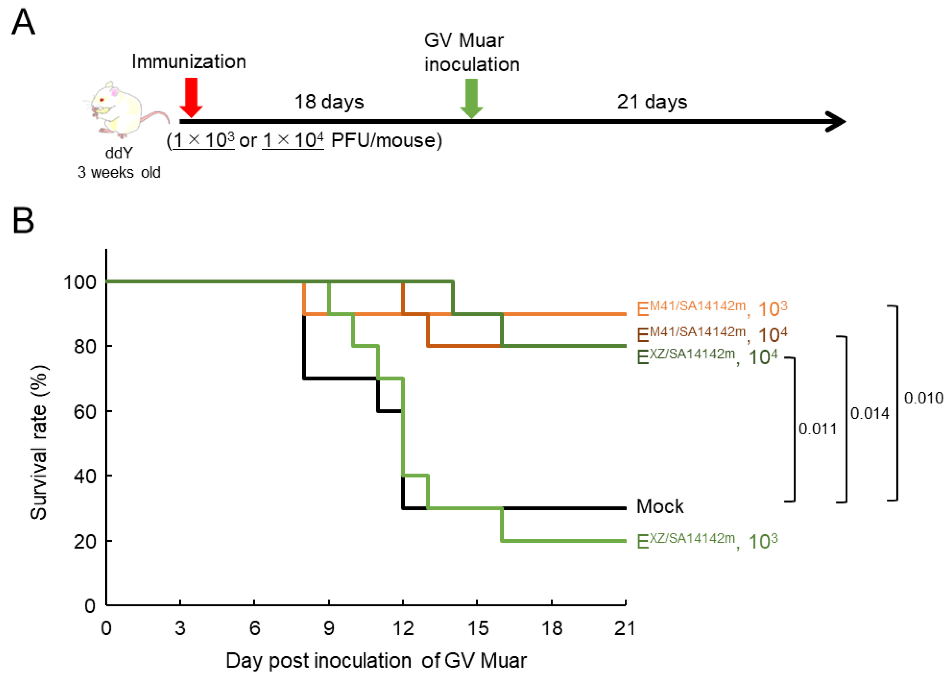 Vaccines 09 01077 g007