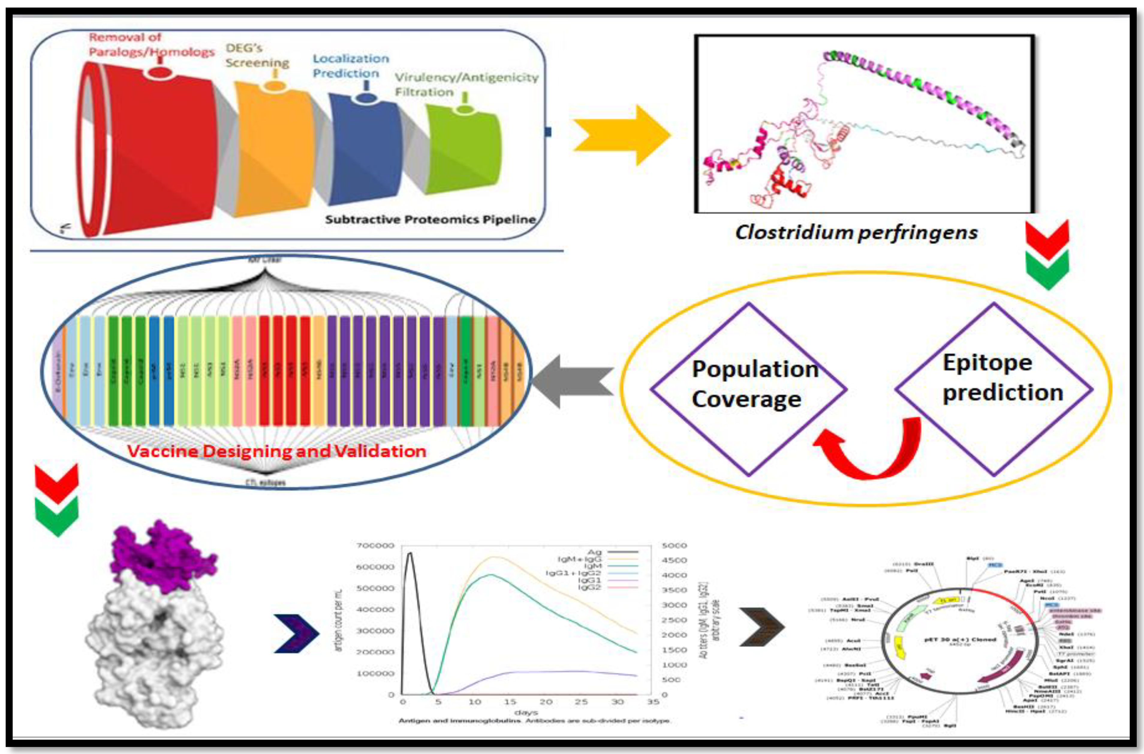 Vaccines 09 01079 g001