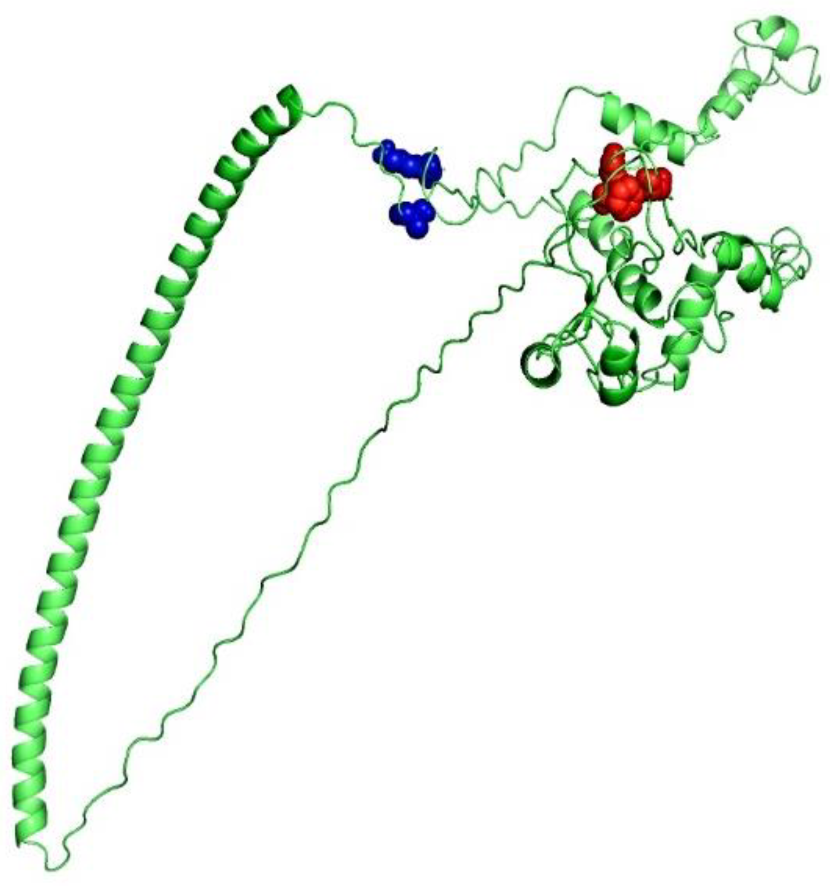 Vaccines 09 01079 g004