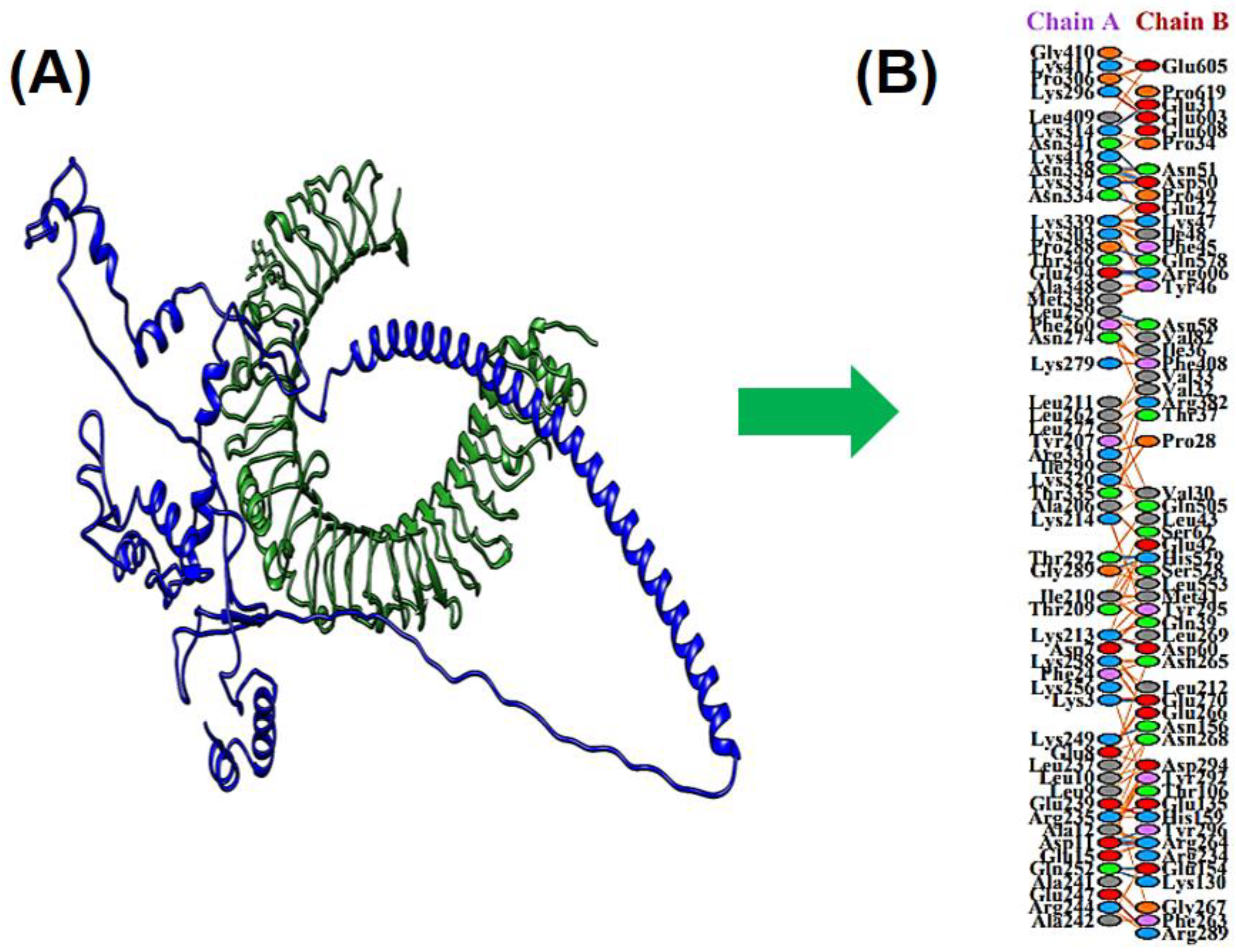 Vaccines 09 01079 g005
