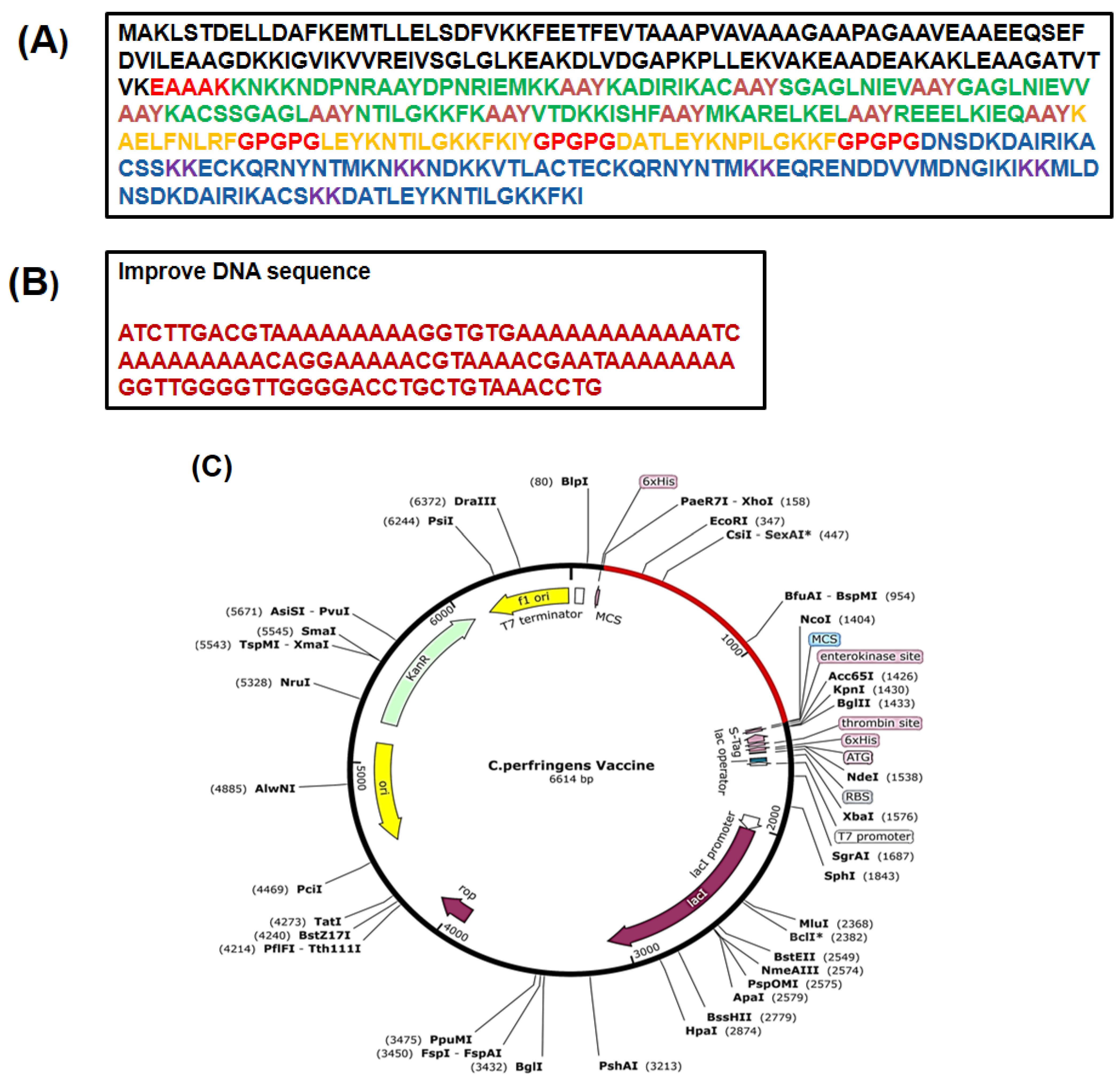 Vaccines 09 01079 g008