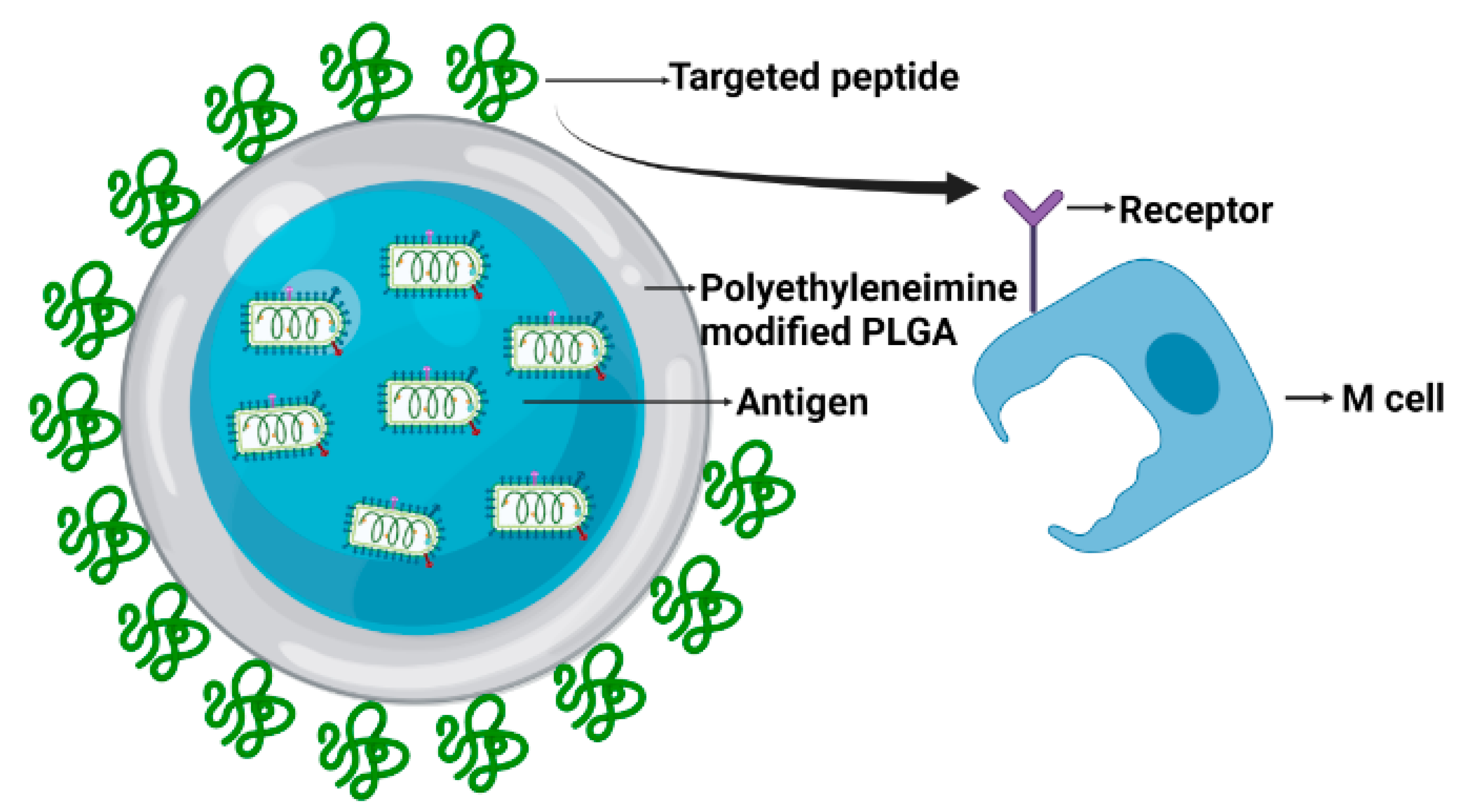 Vaccines 09 01082 g002
