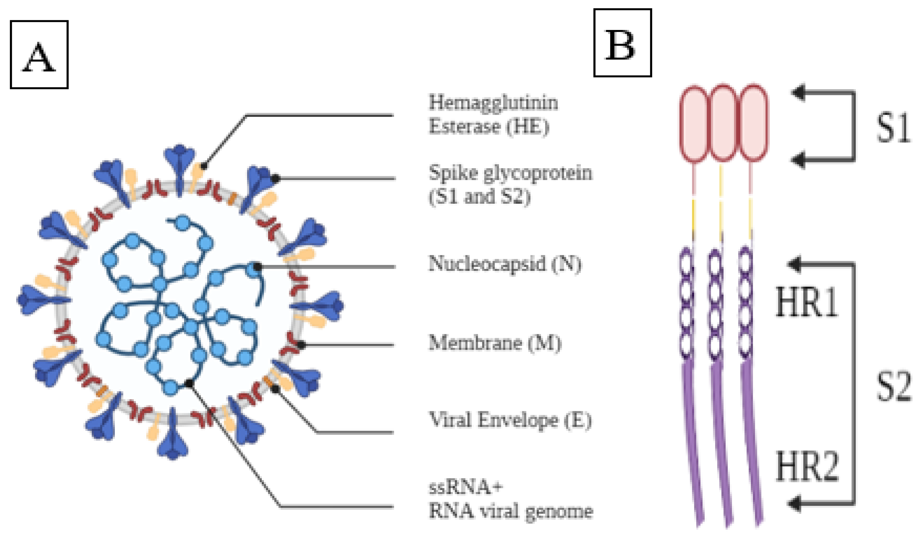 Vaccines 09 01086 g001