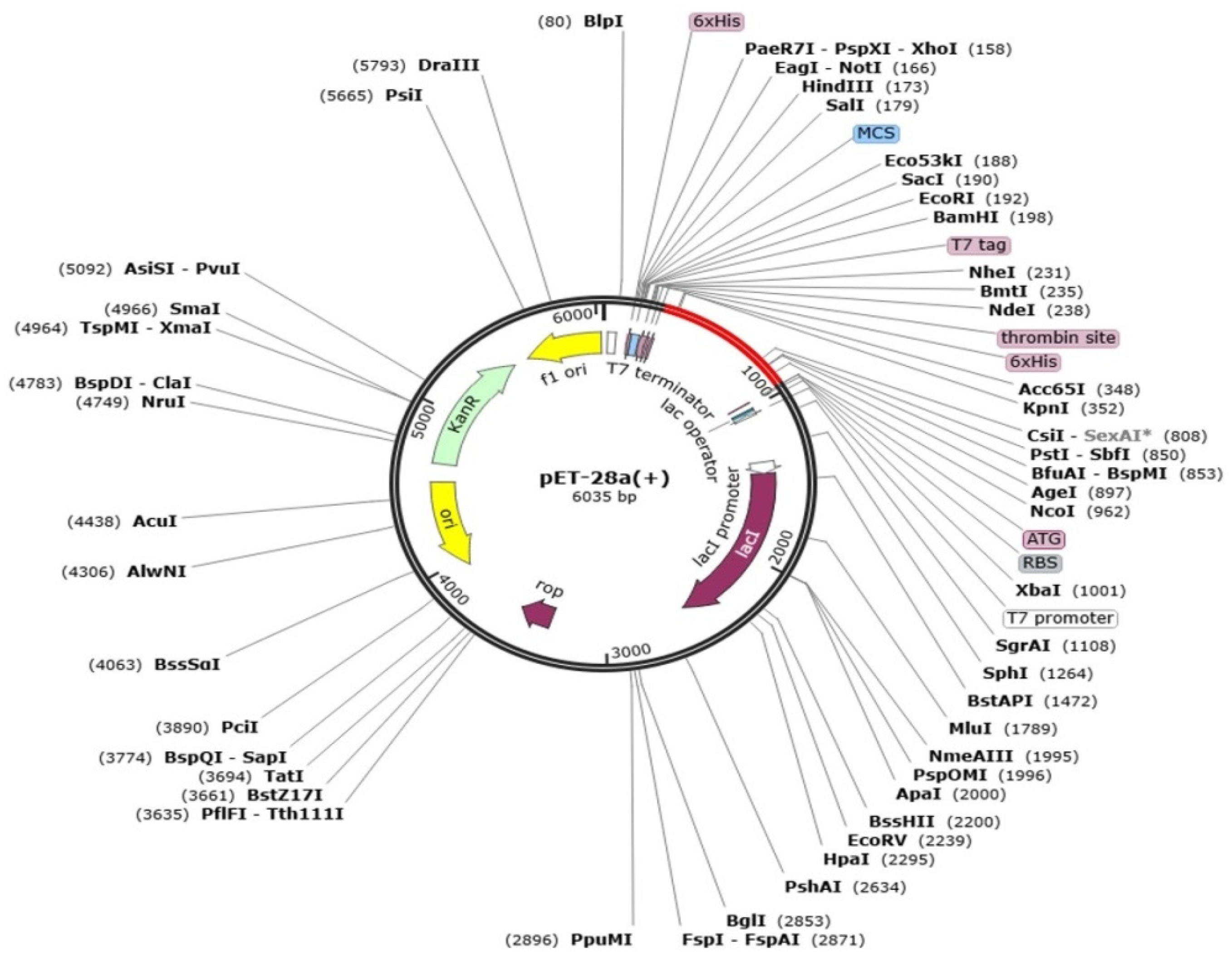 Vaccines 09 01087 g007