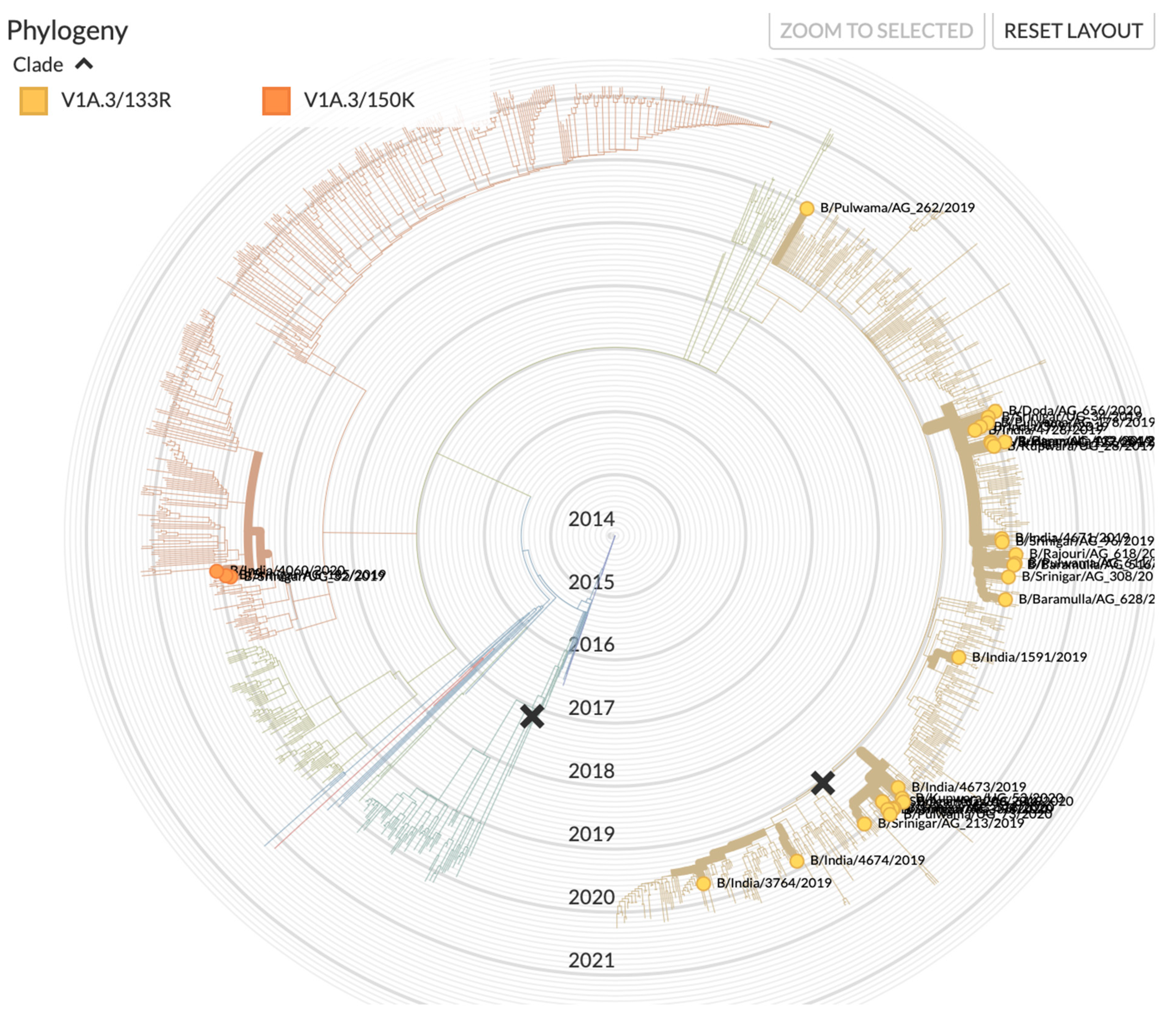 Vaccines 09 01094 g002