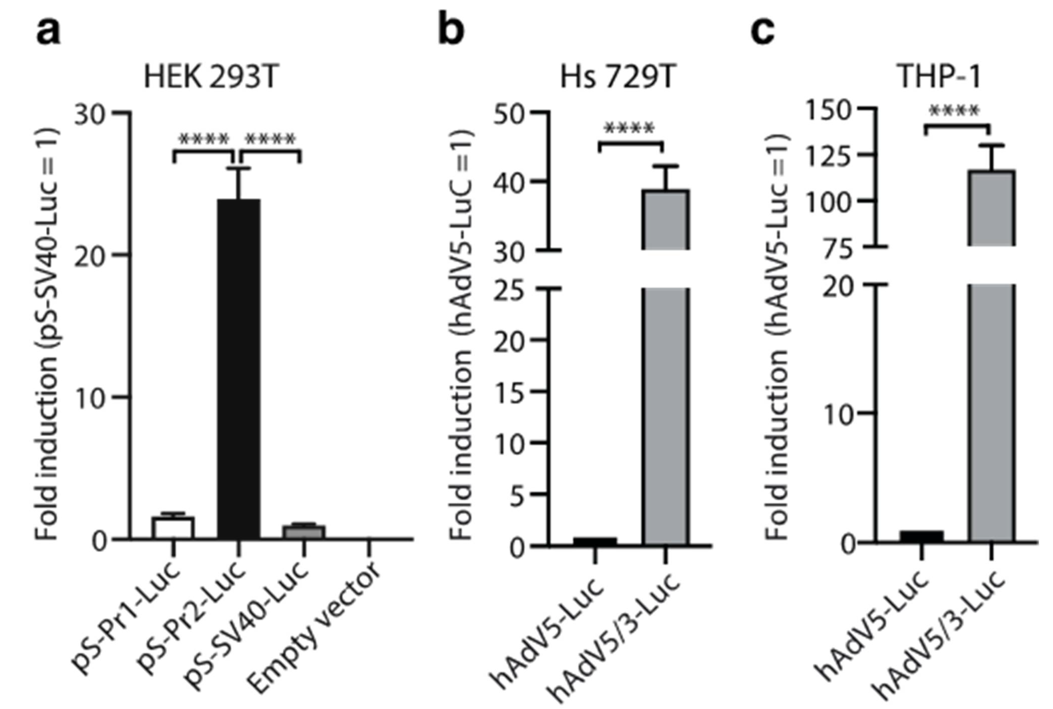 Vaccines 09 01106 g001