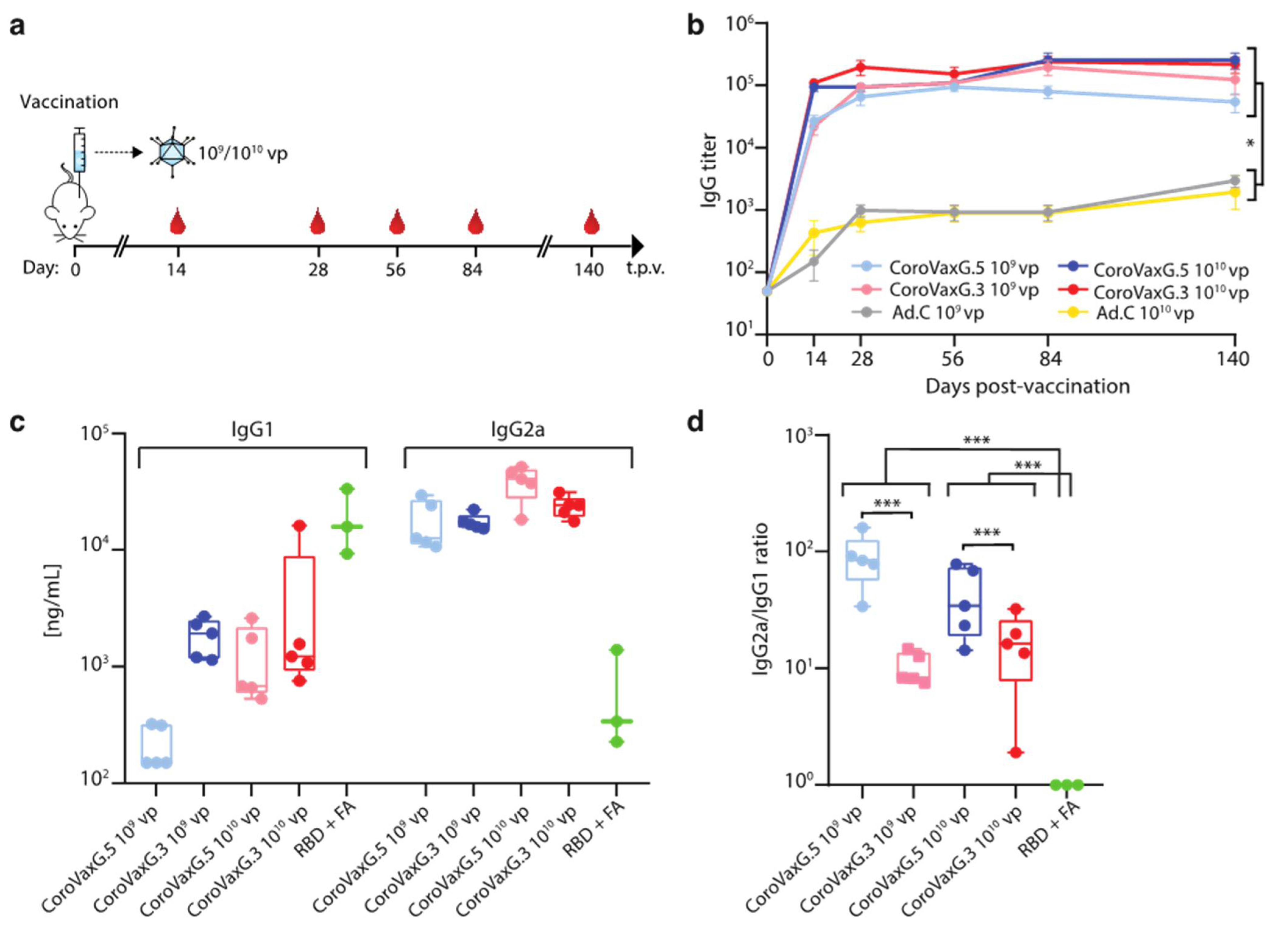 Vaccines 09 01106 g003