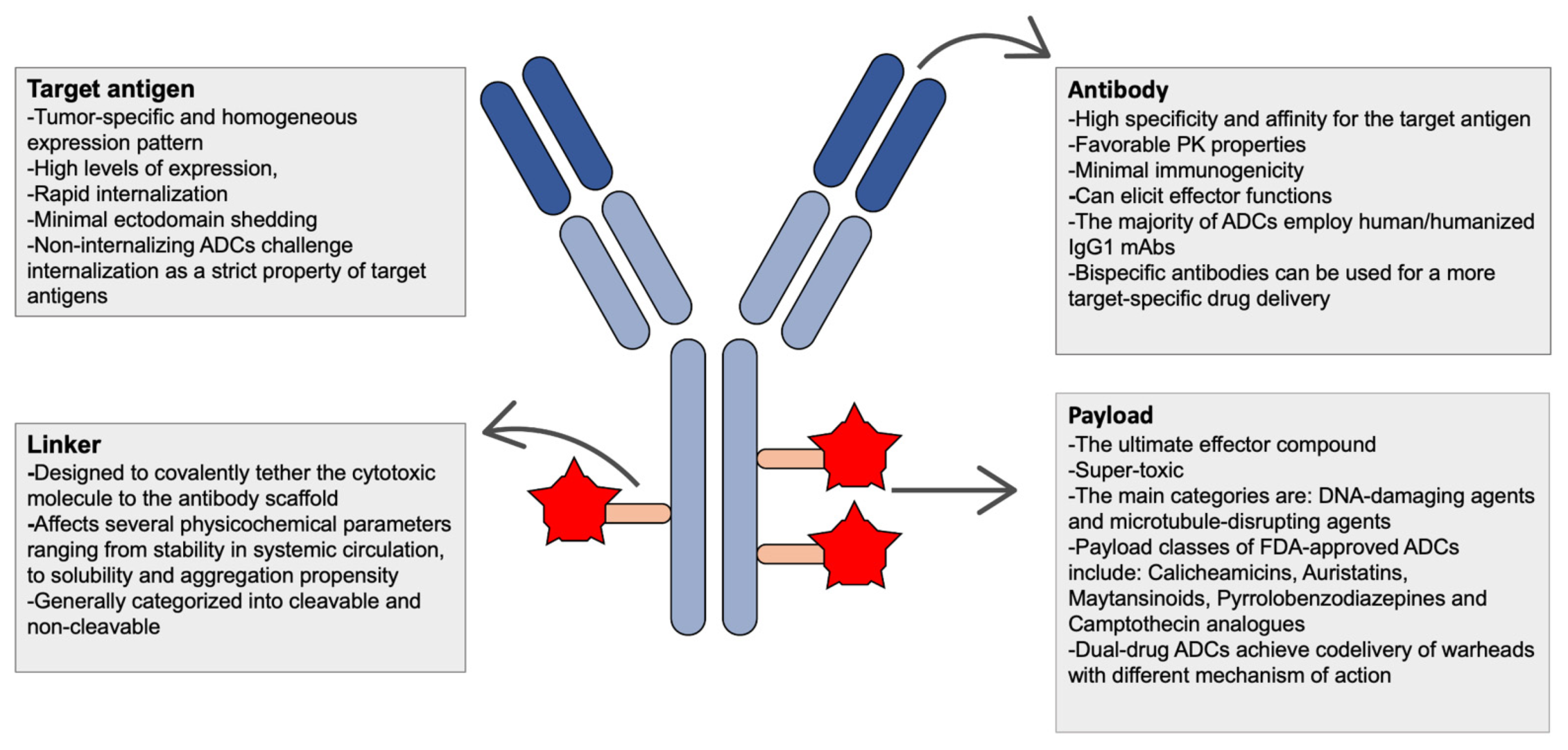 Understanding the activity of antibody–drug conjugates in primary and  secondary brain tumours