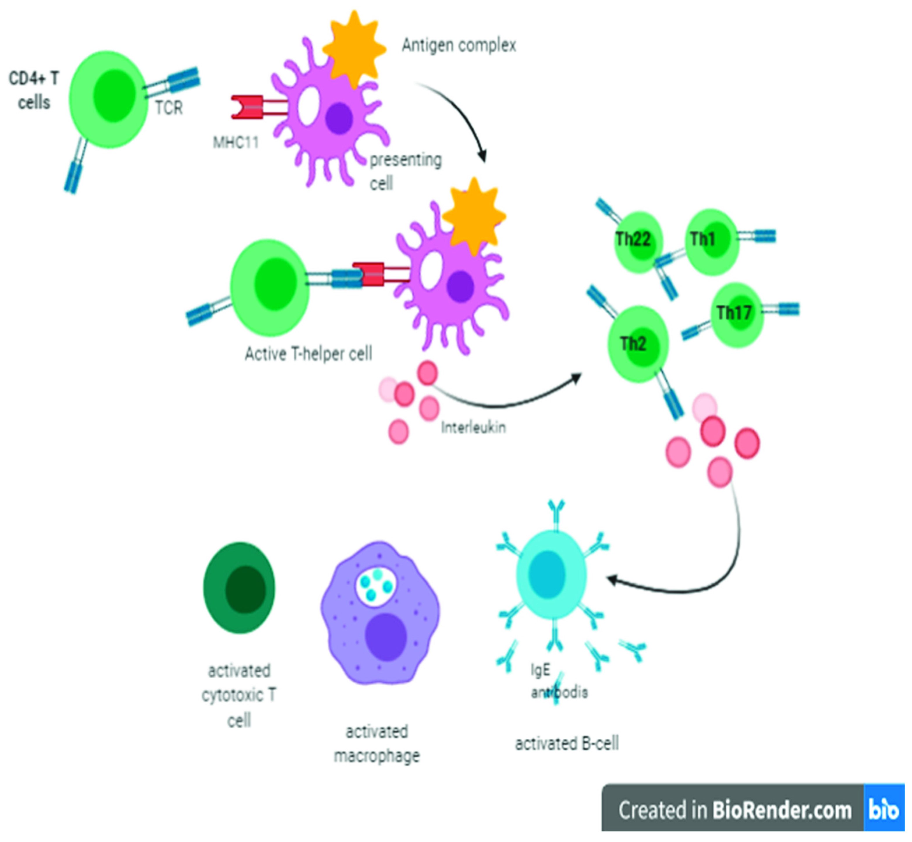 Vaccines 09 01119 g002 Vaccines 09 01119 g002