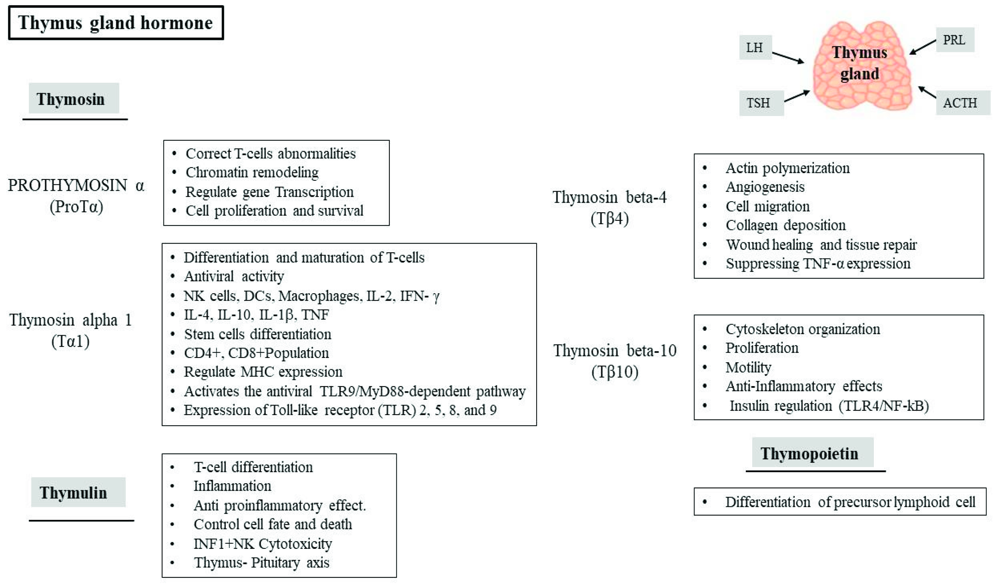 Vaccines 09 01119 g004 Vaccines 09 01119 g004