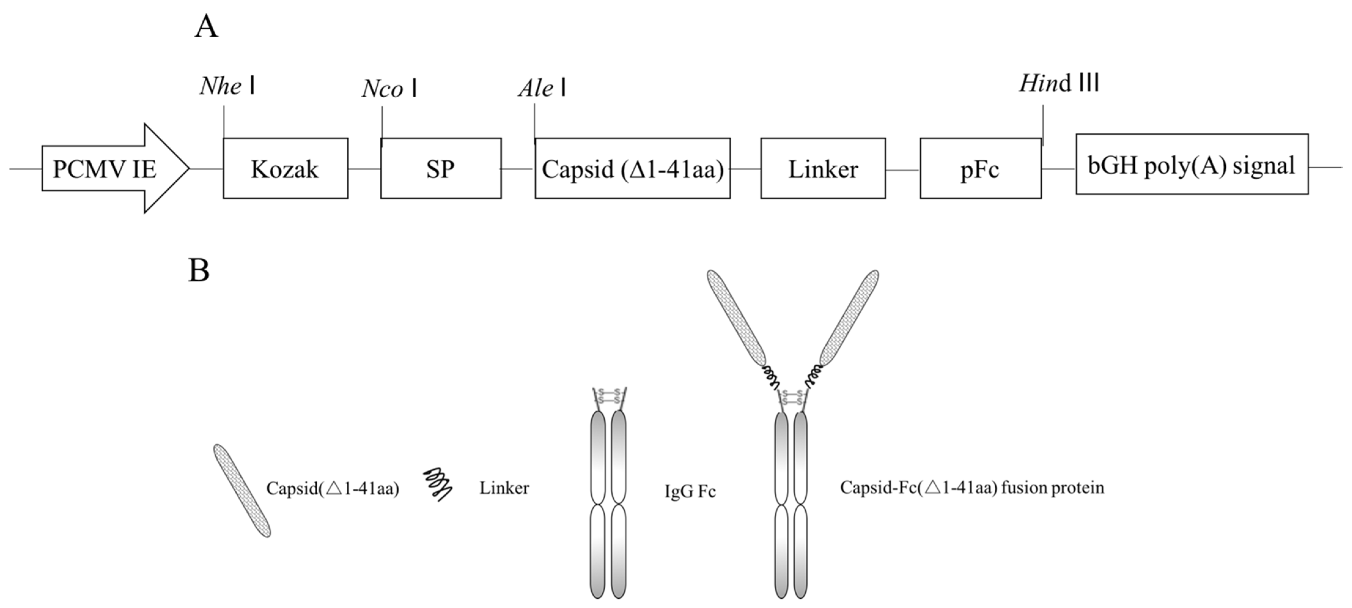 Vaccines 09 01128 g001