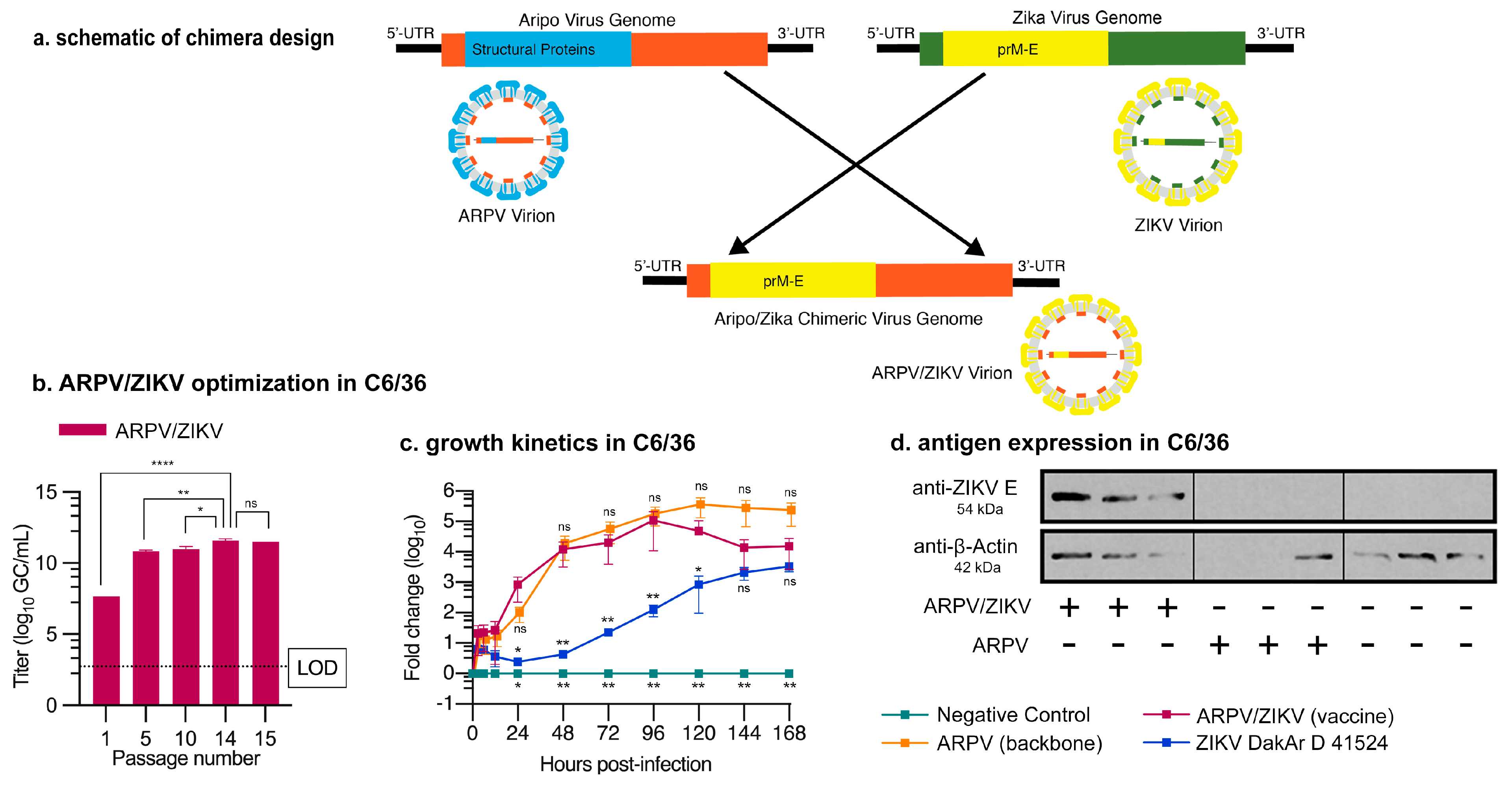Vaccines 09 01142 g001